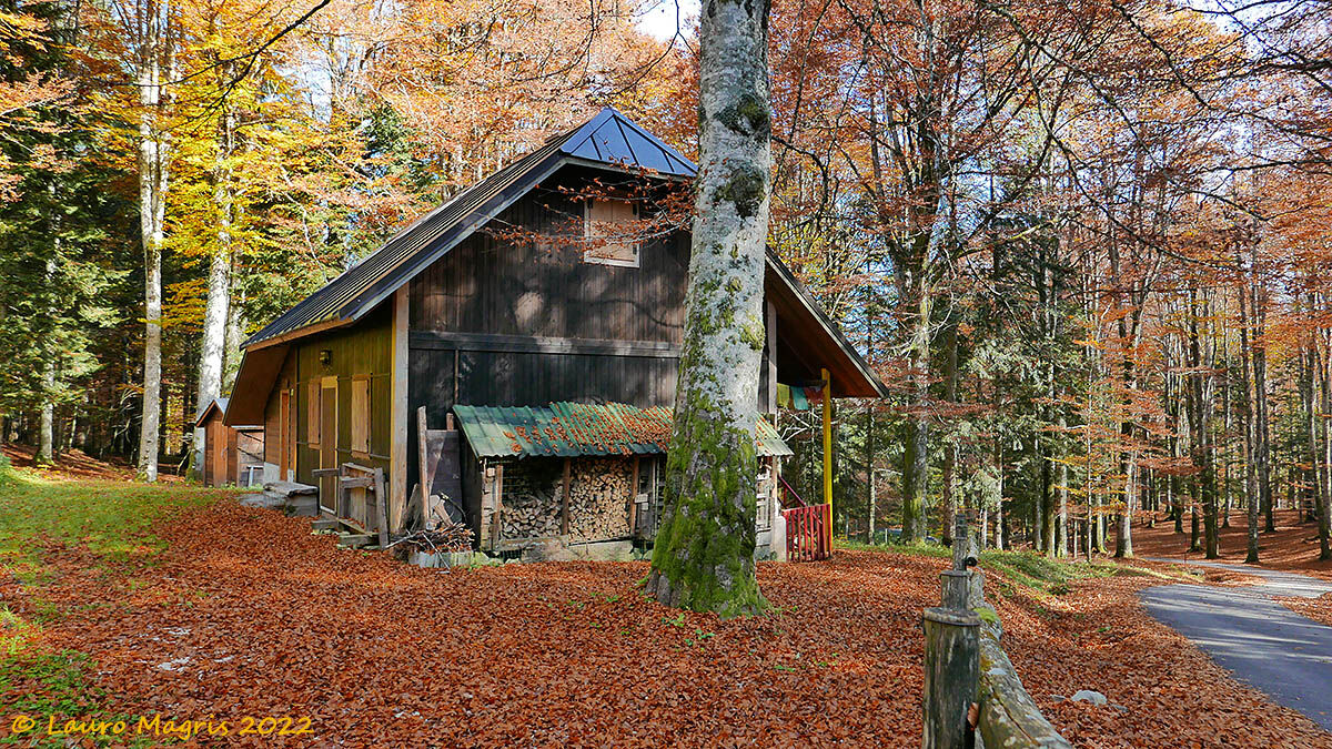 Impressioni autunnali