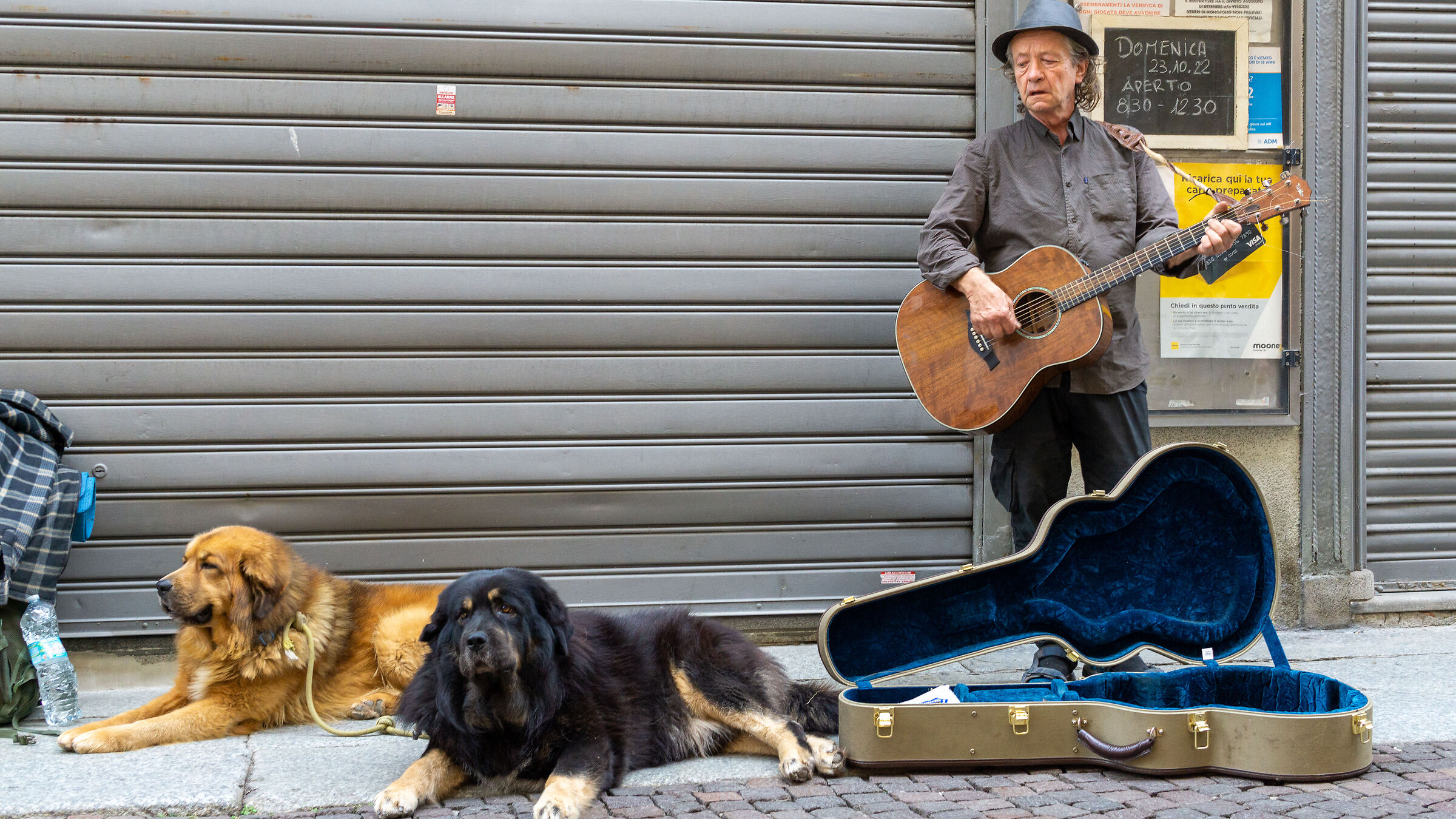 Musicista di strada
