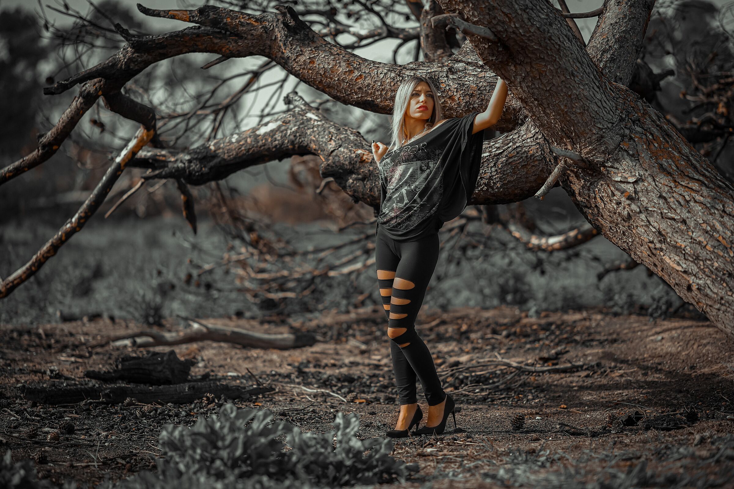 Black Nature