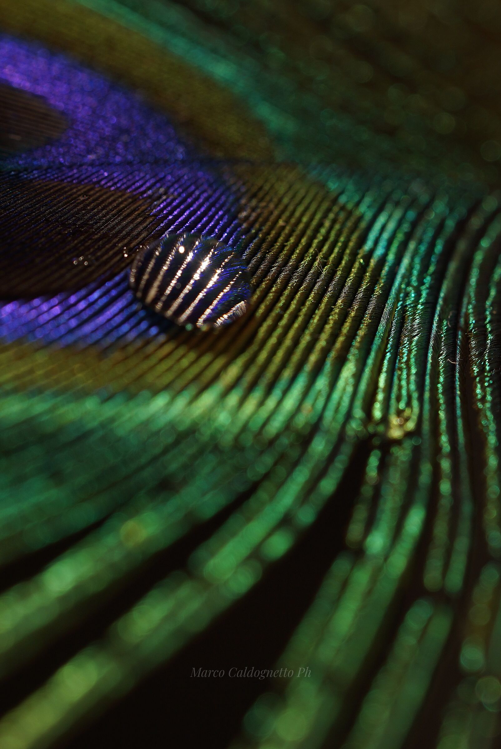 Semplicità nelle piccole cose