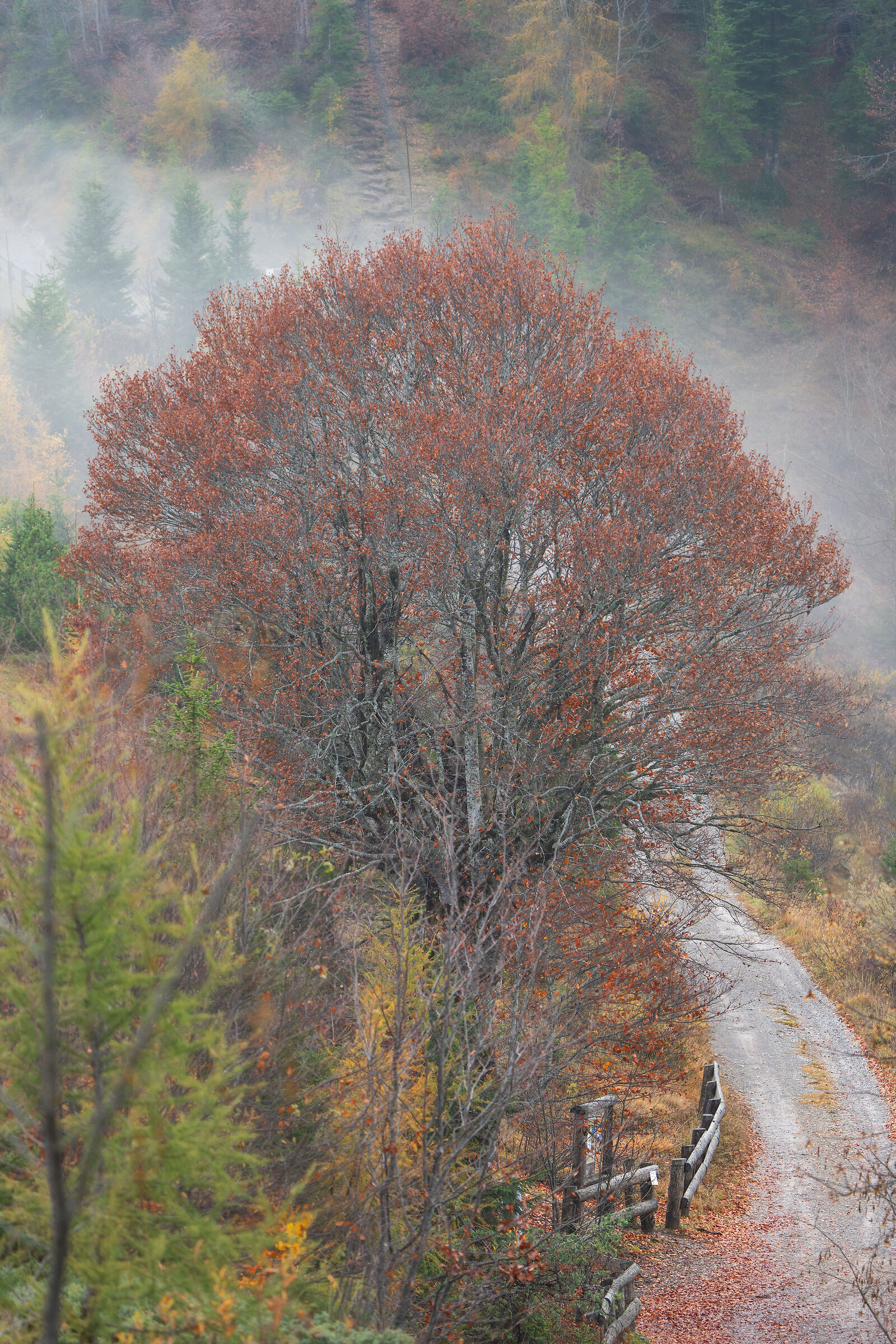 Bocca di Caset (Trentino - Italia)