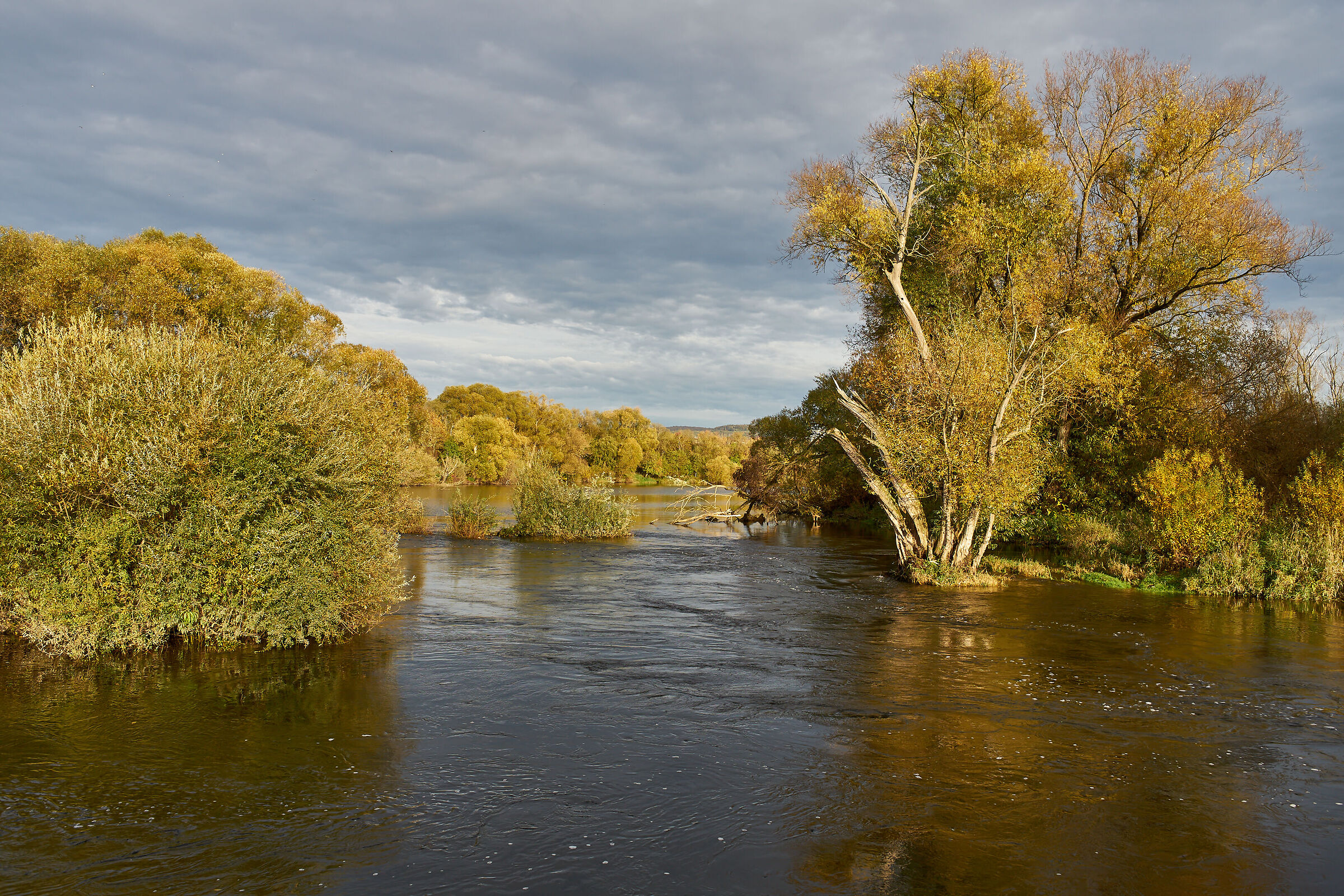 Il Meno vicino a Ebensfeld