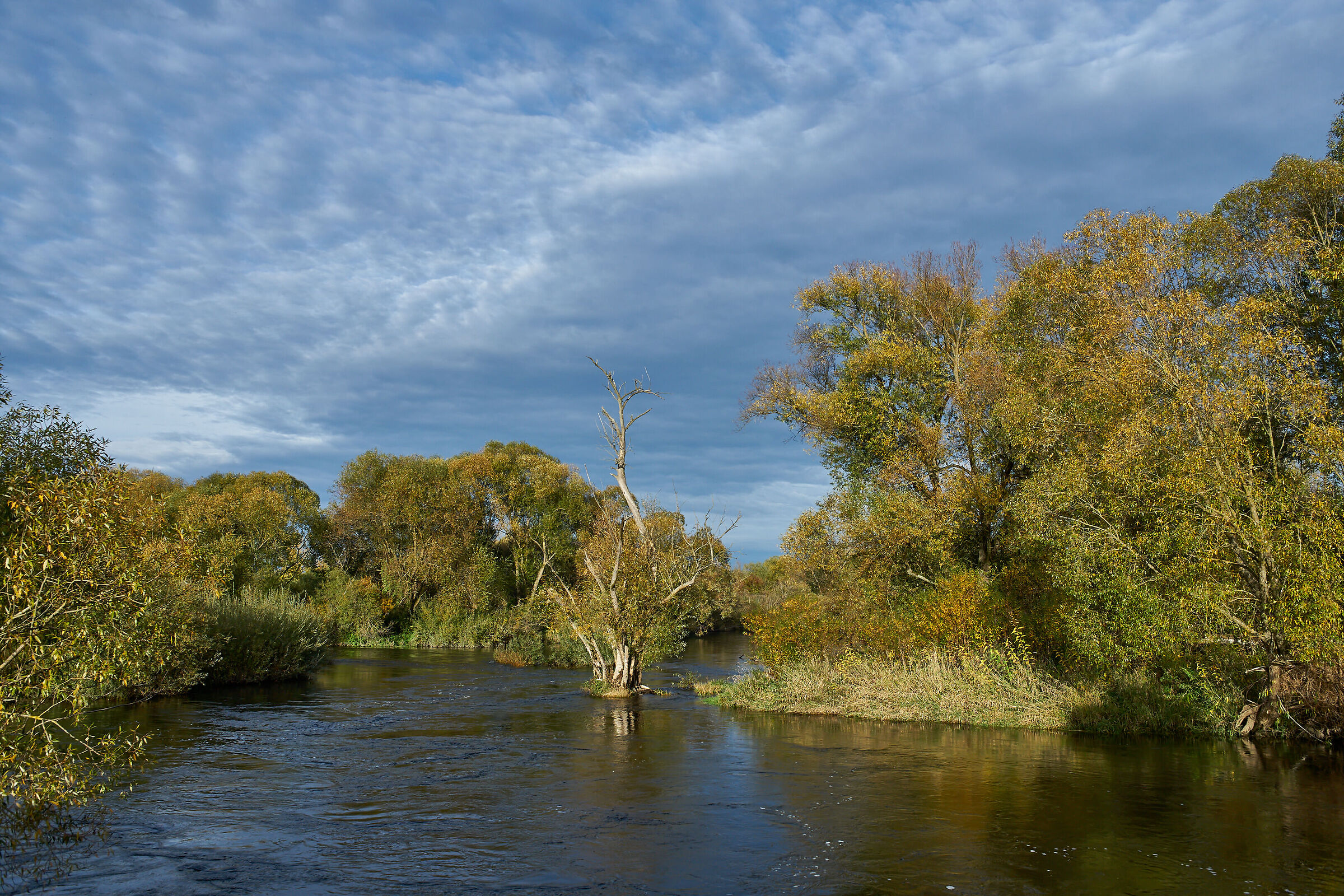 Il Meno vicino a Ebensfeld