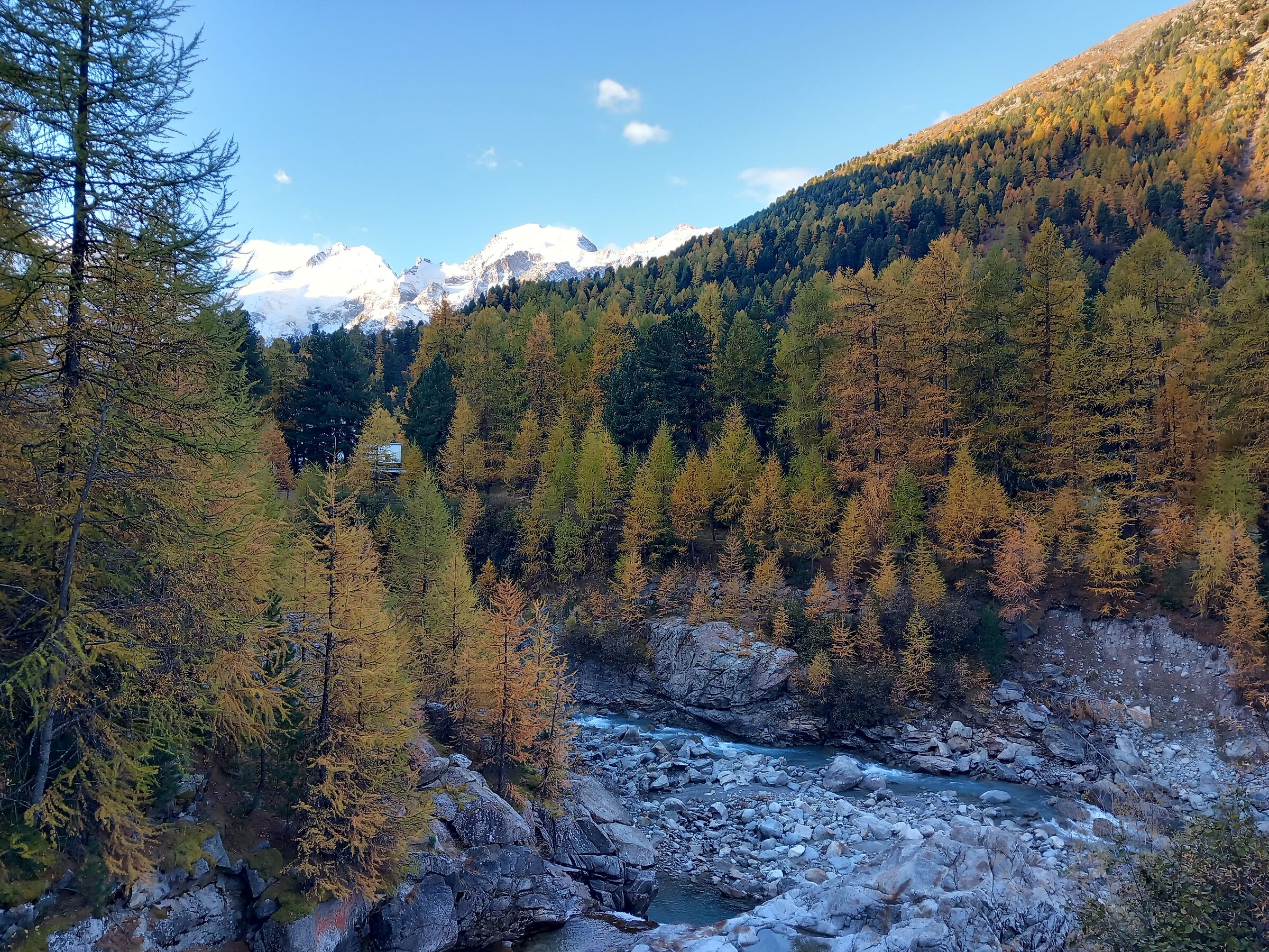 Autumn CH