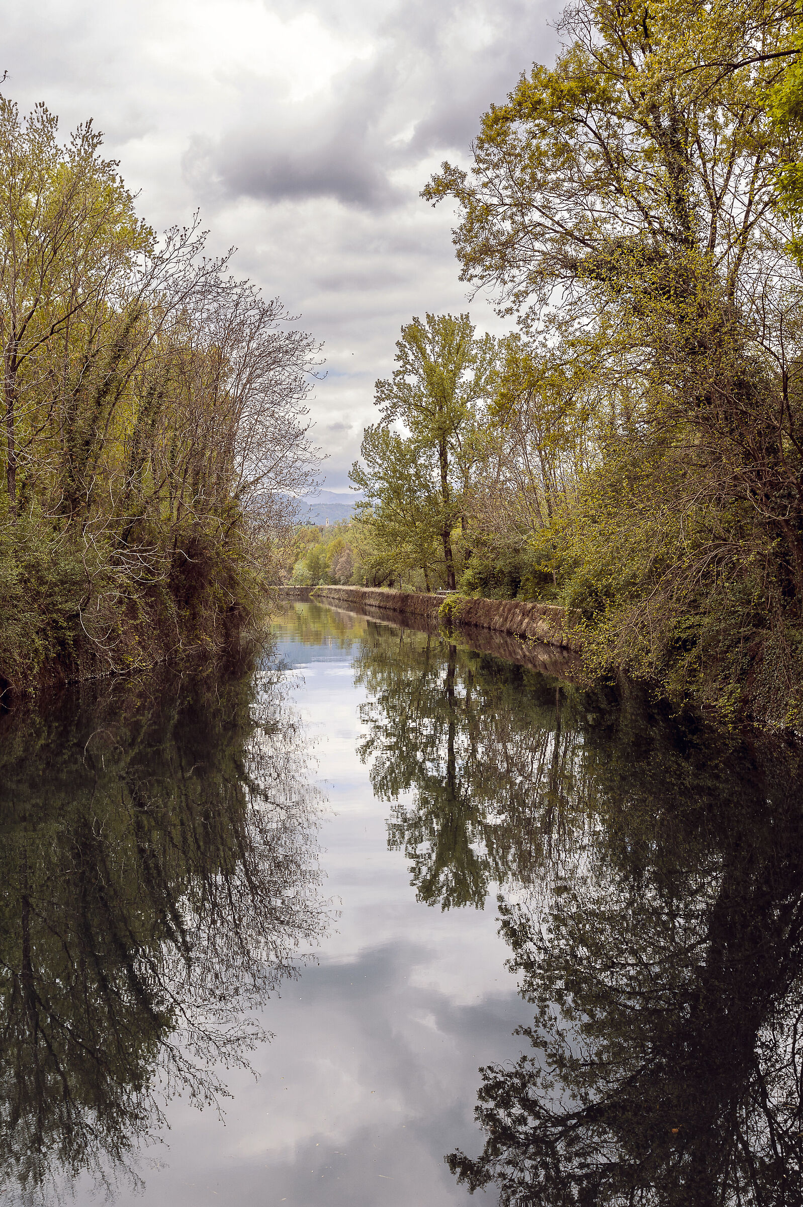 Untitled Photo