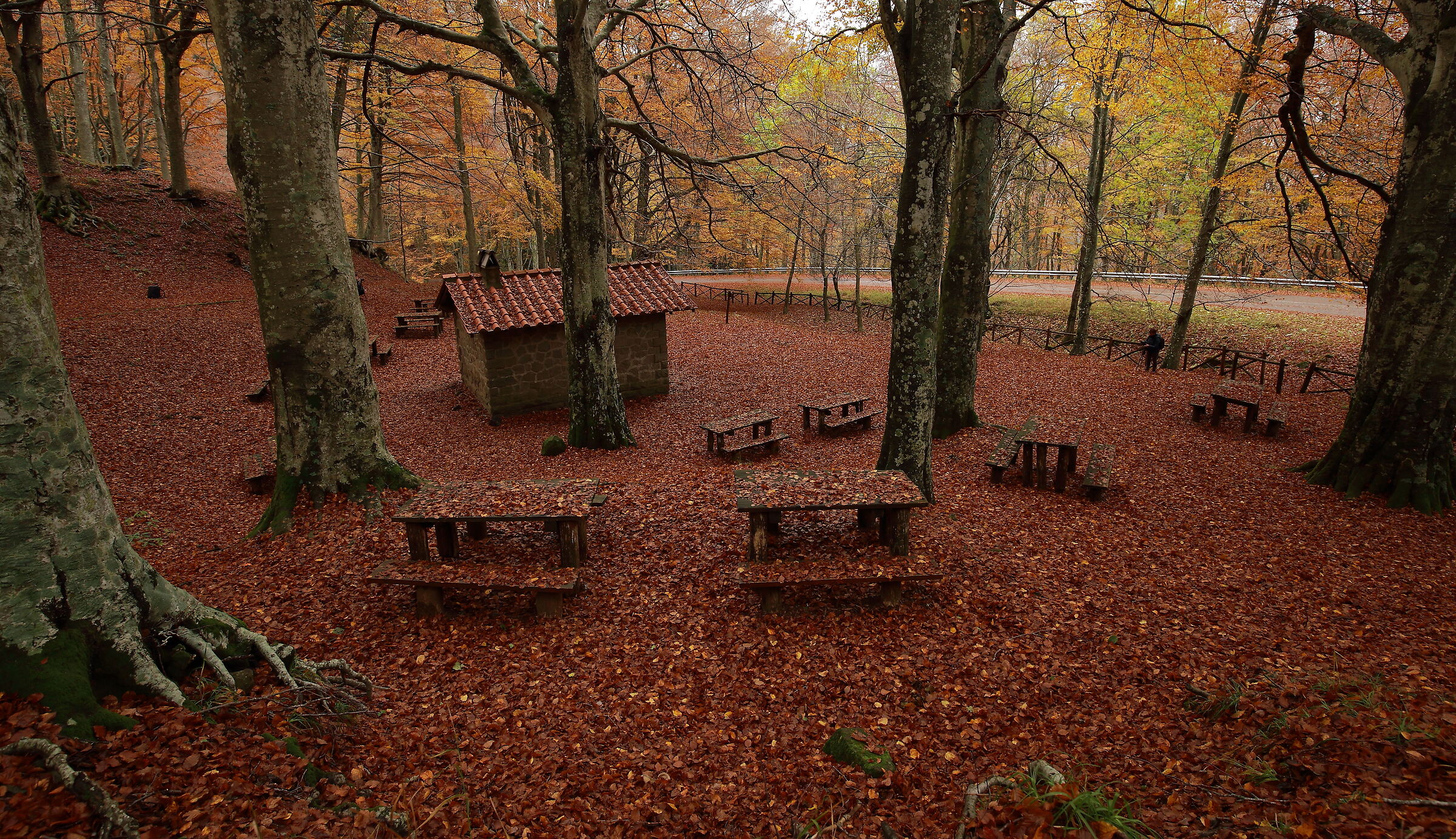 When autumn sets the table