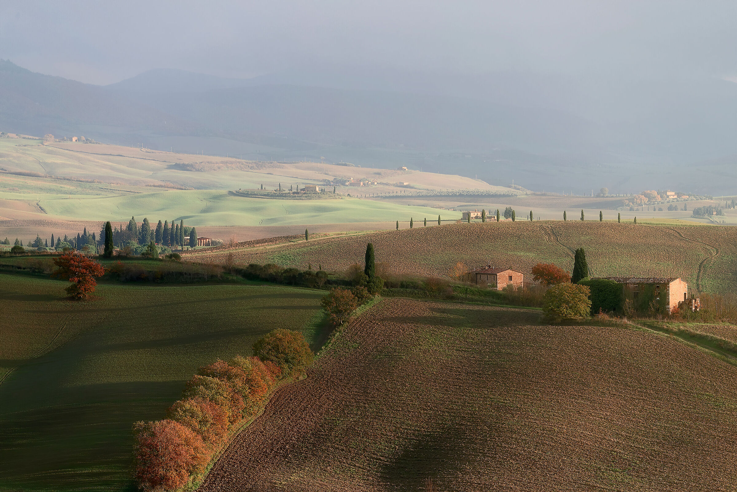 Autumn shades