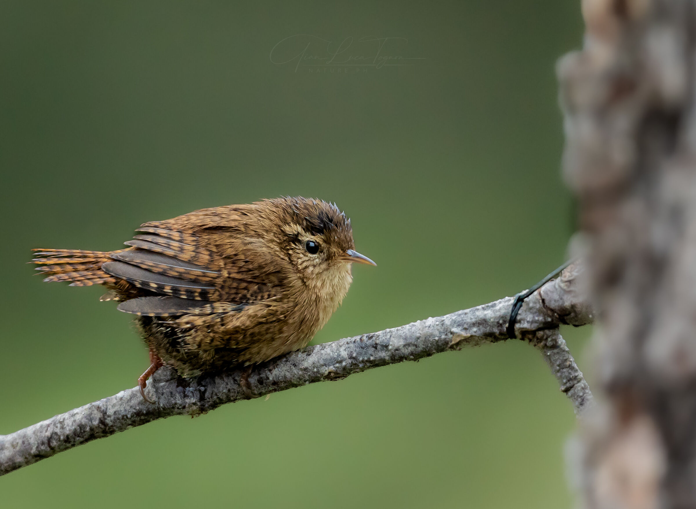 attimi di riposo | moments of rest