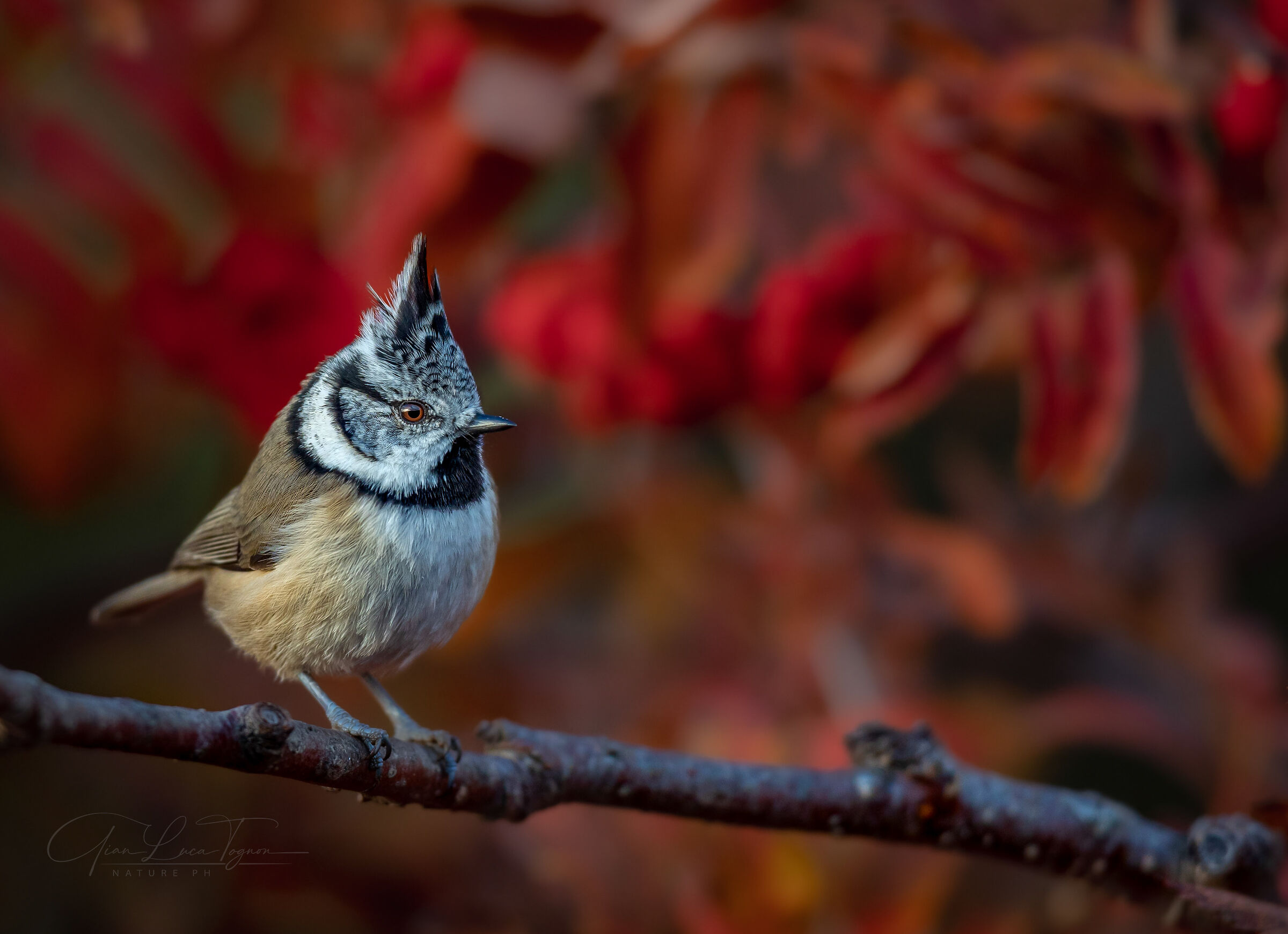 dimmi che è autunno senza dirmi che è autunno