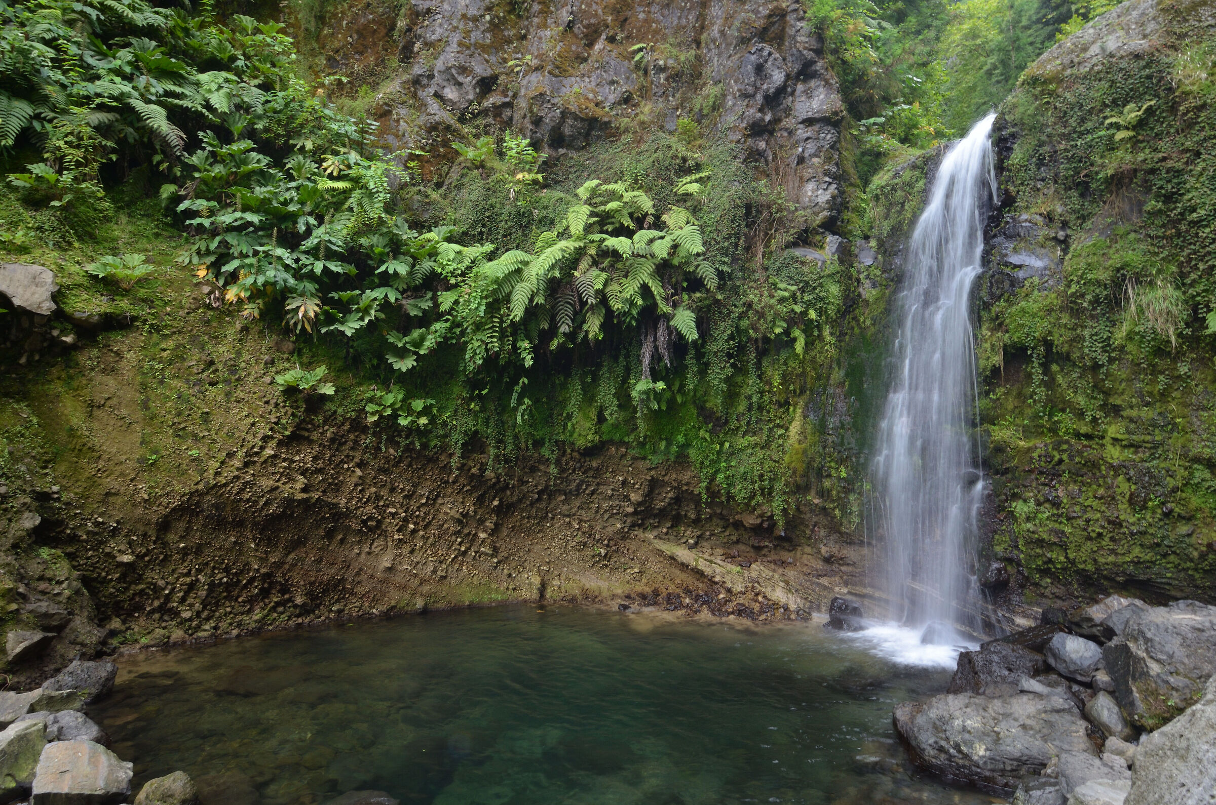 Cascata del parco Grenà (Azzorre)