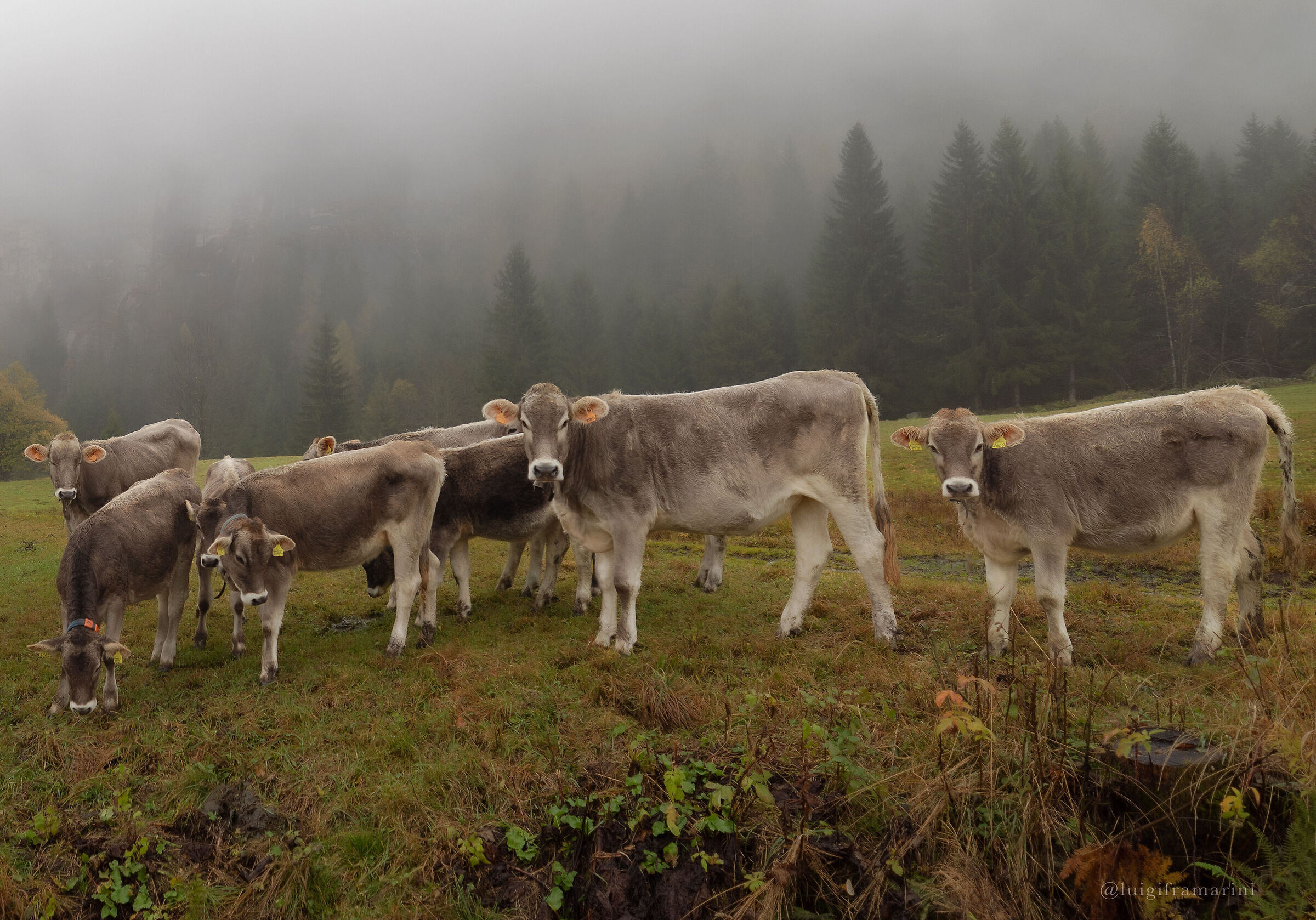 Tempo d'autunno in montagna