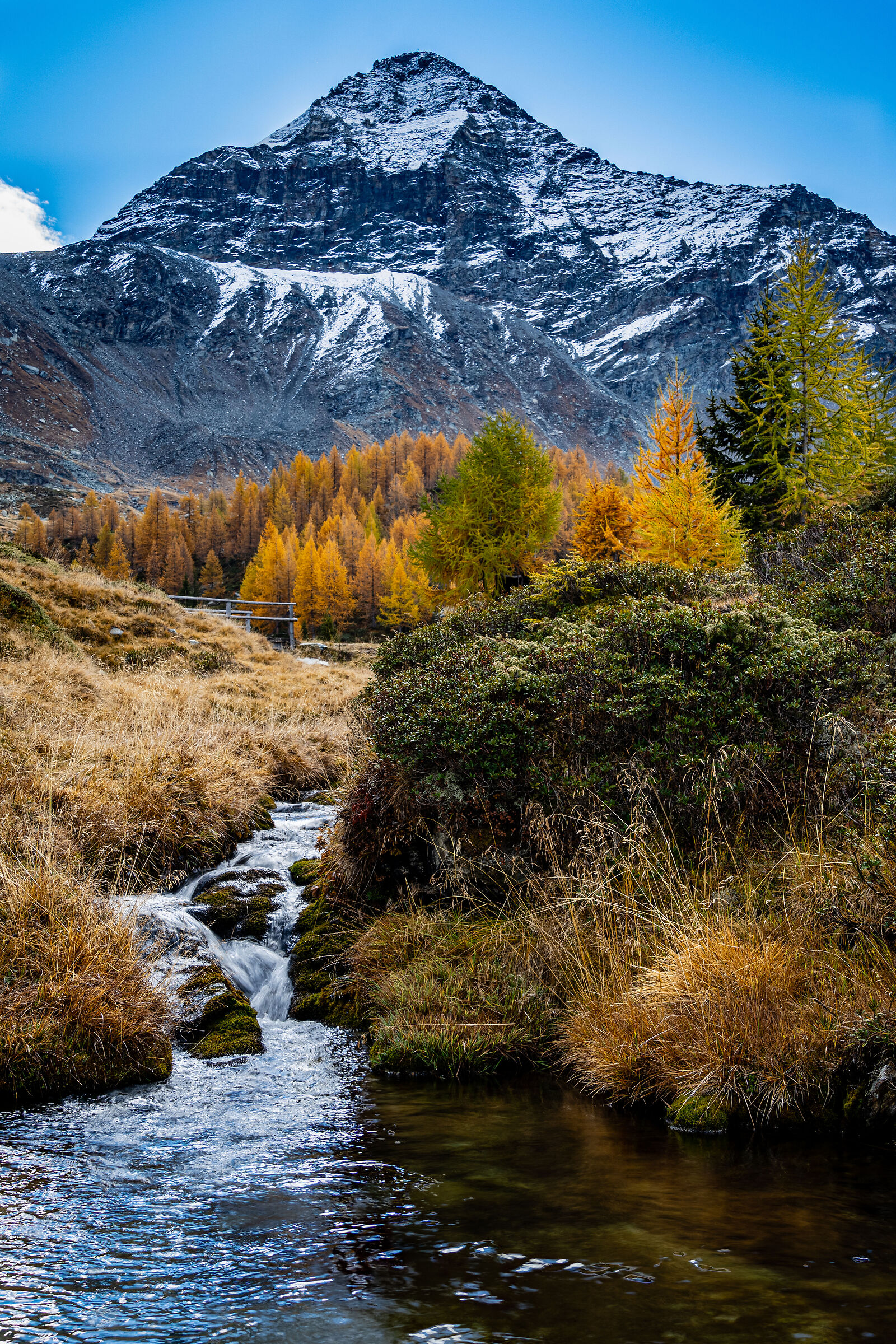 Autunno in Valmalenco 1