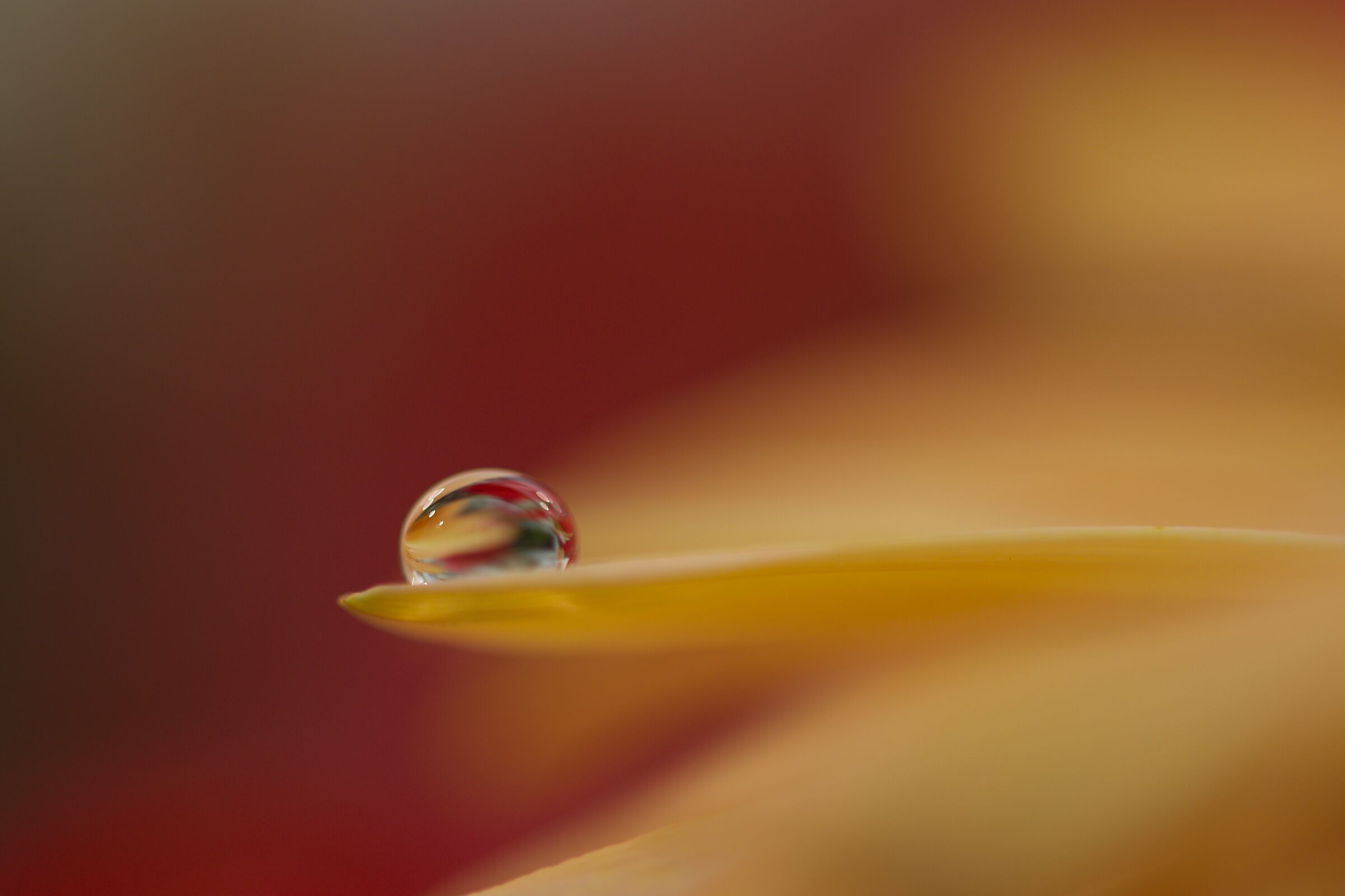 Drops