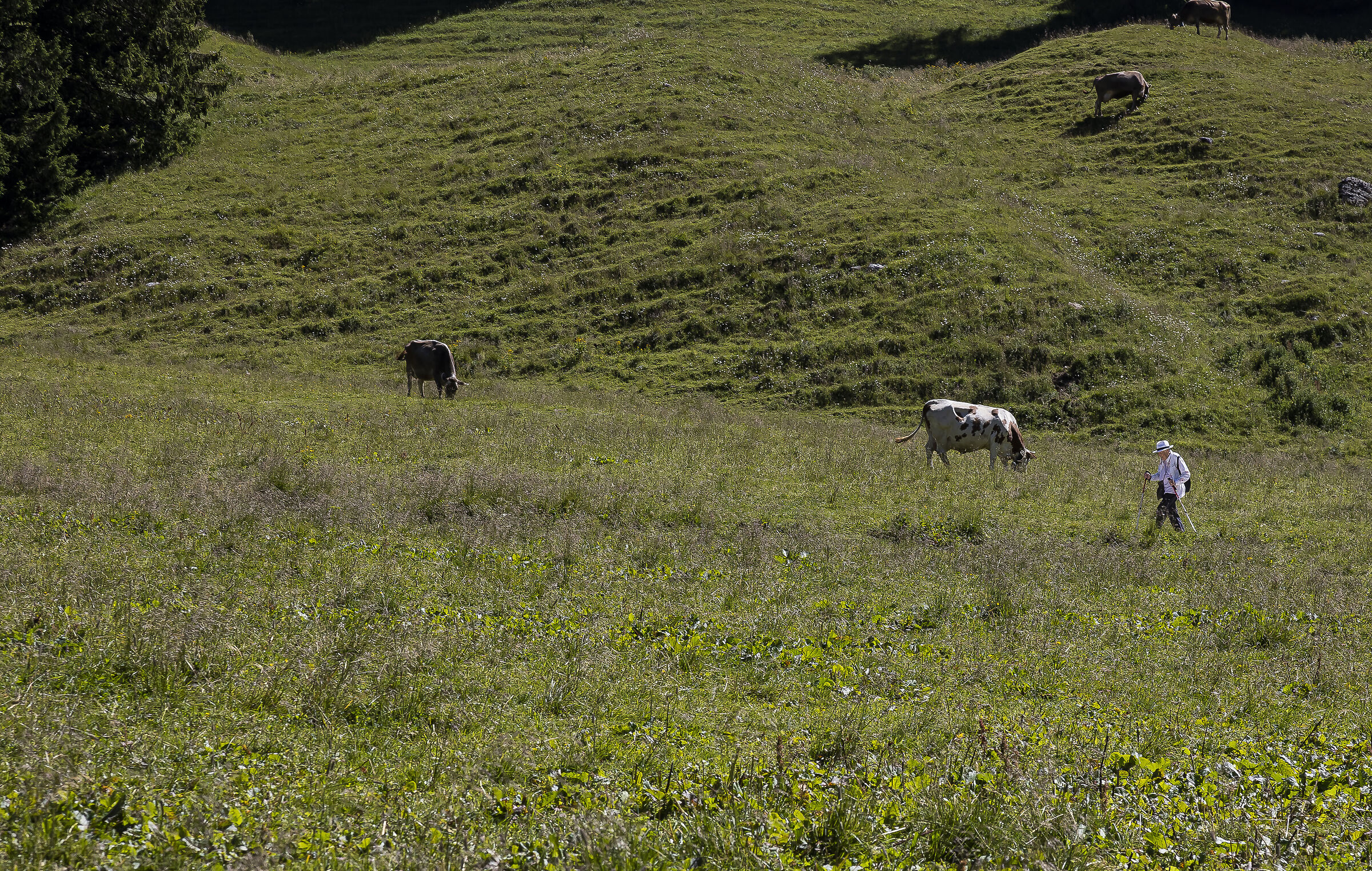Il Paradiso può attendere