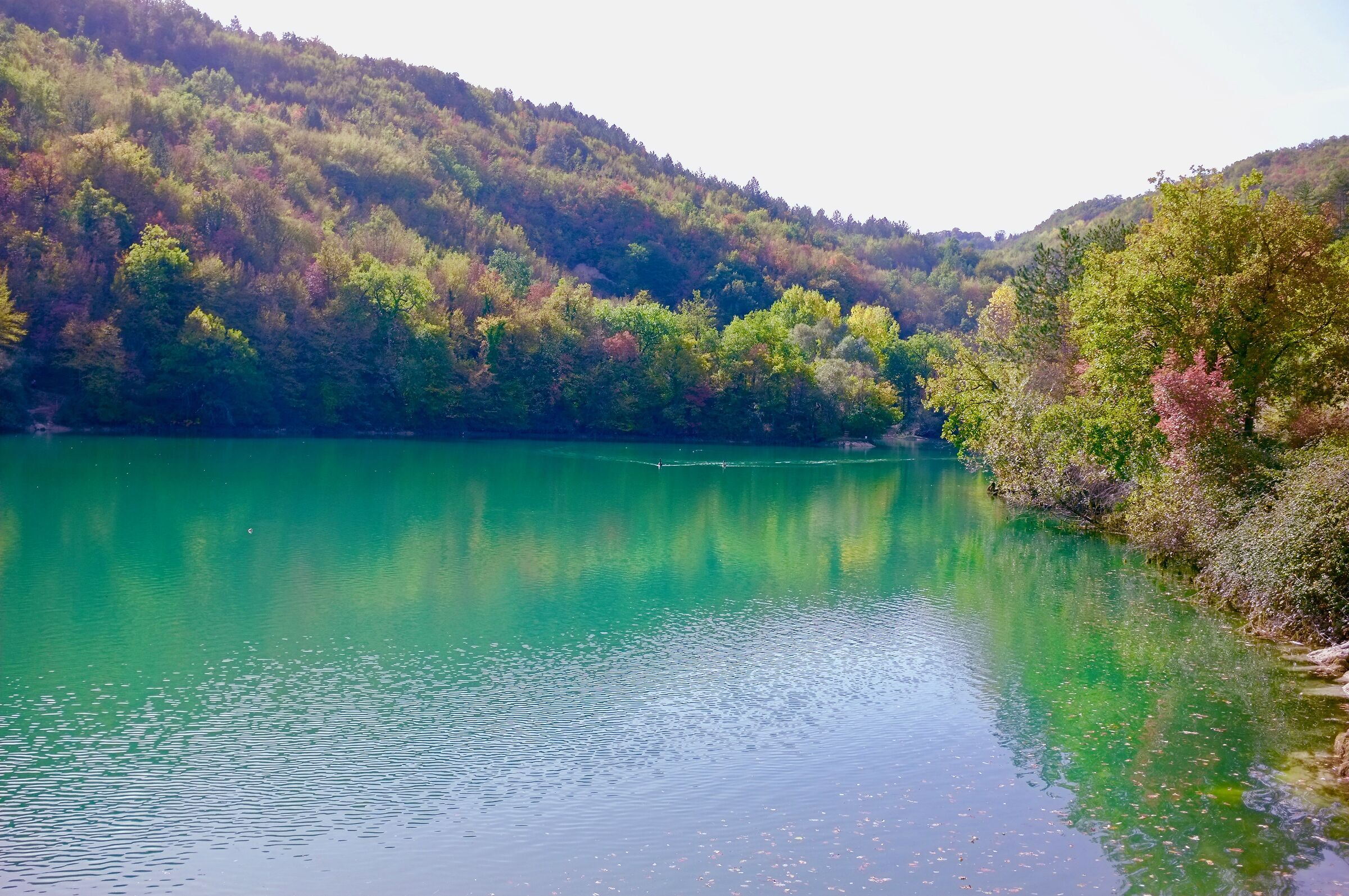 In advance of the Foliage