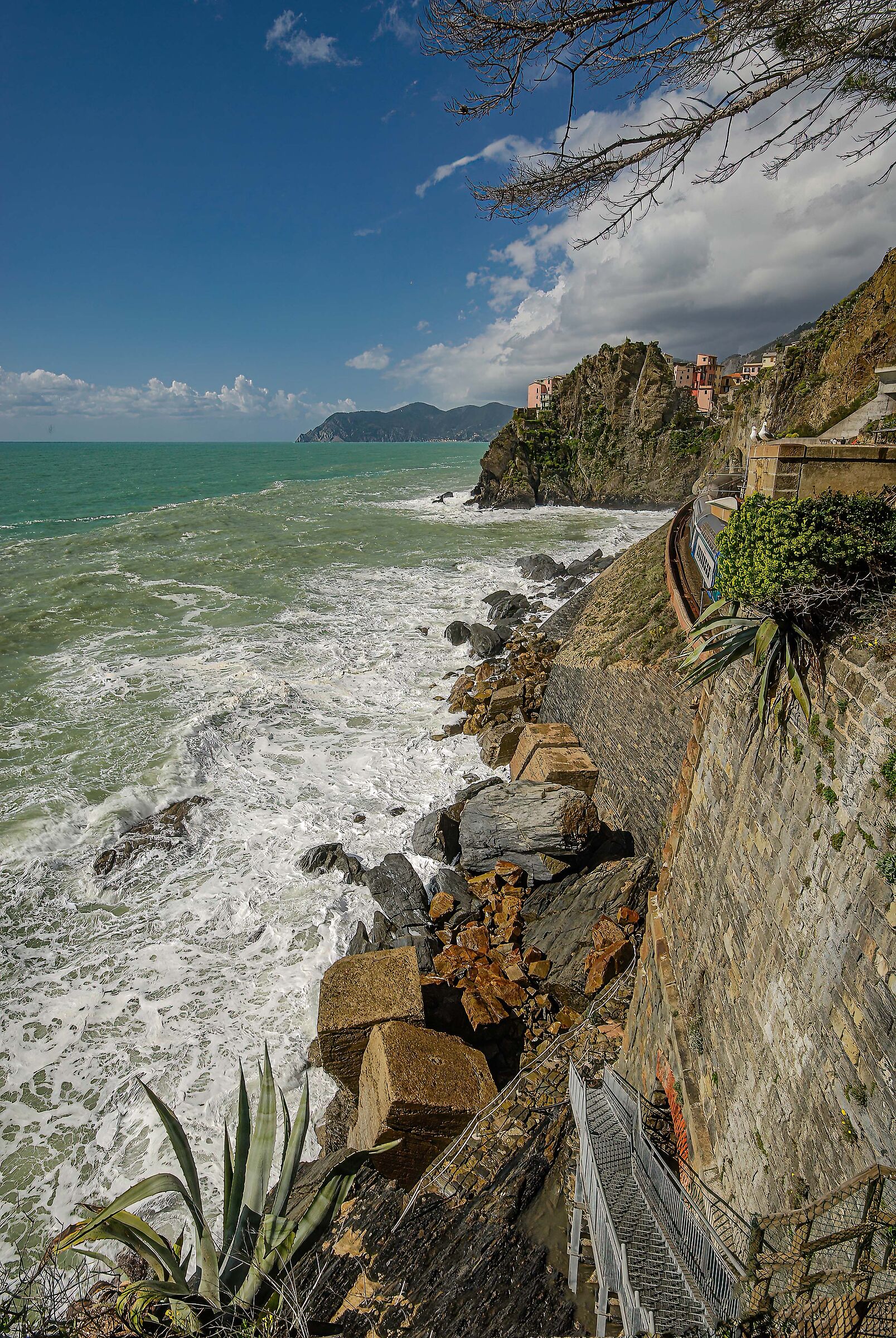 Cota Ligure 3