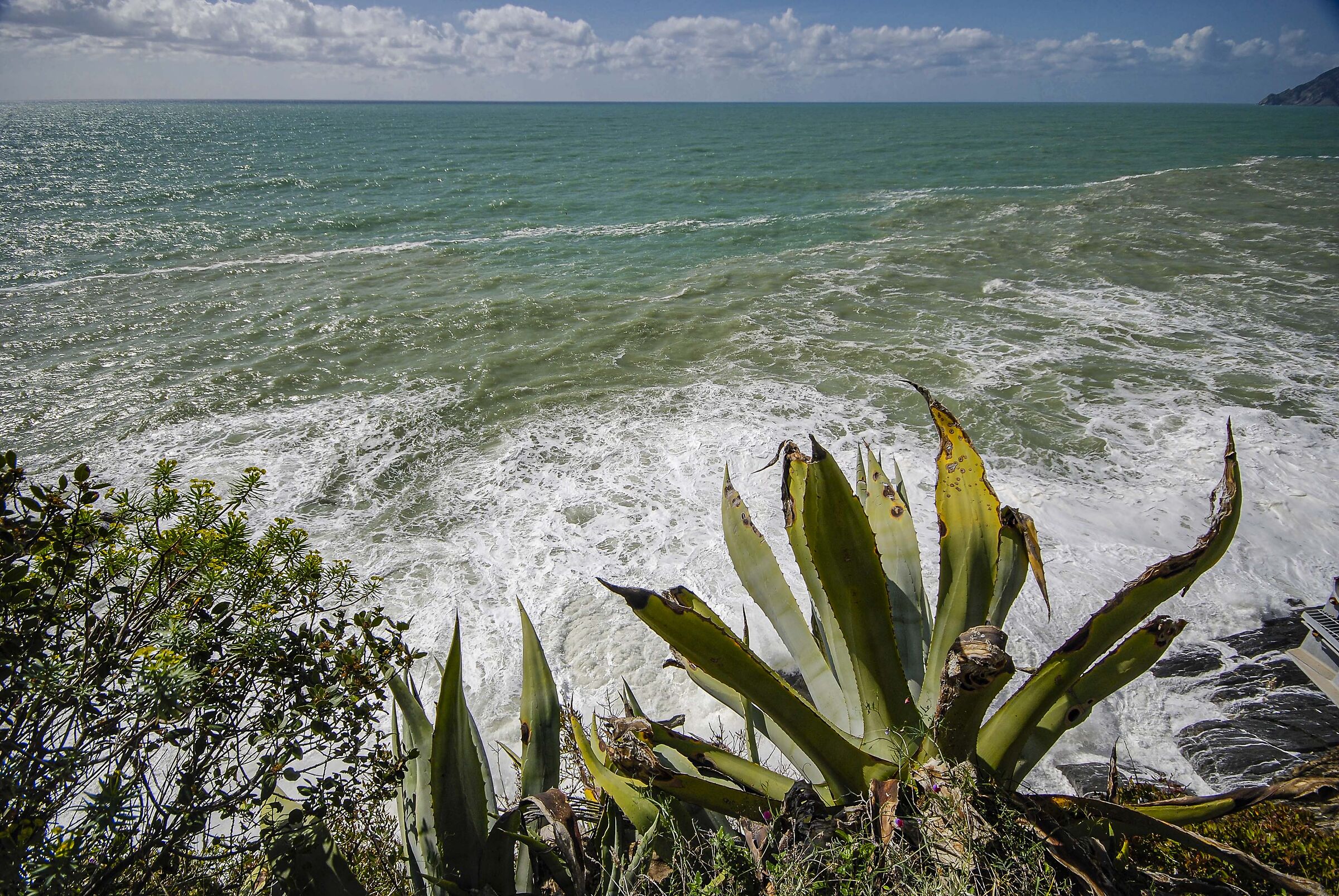 Ligurian Coast