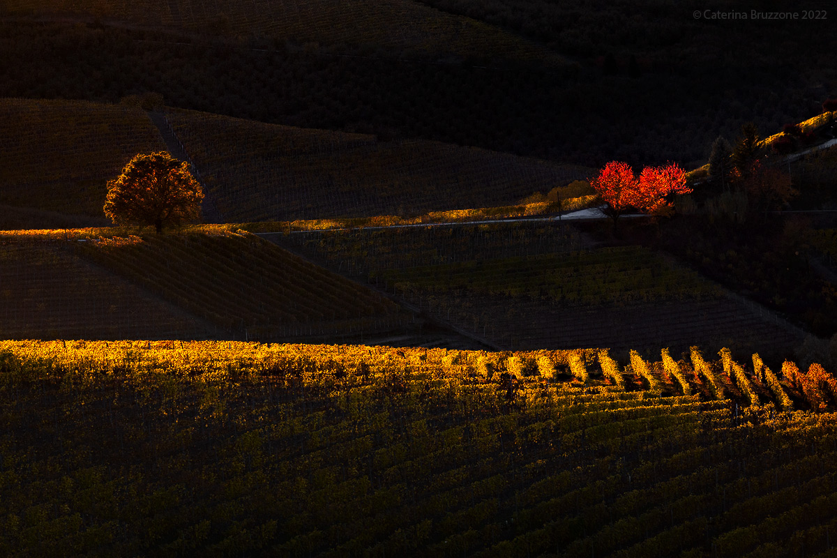 The last caress of the sun