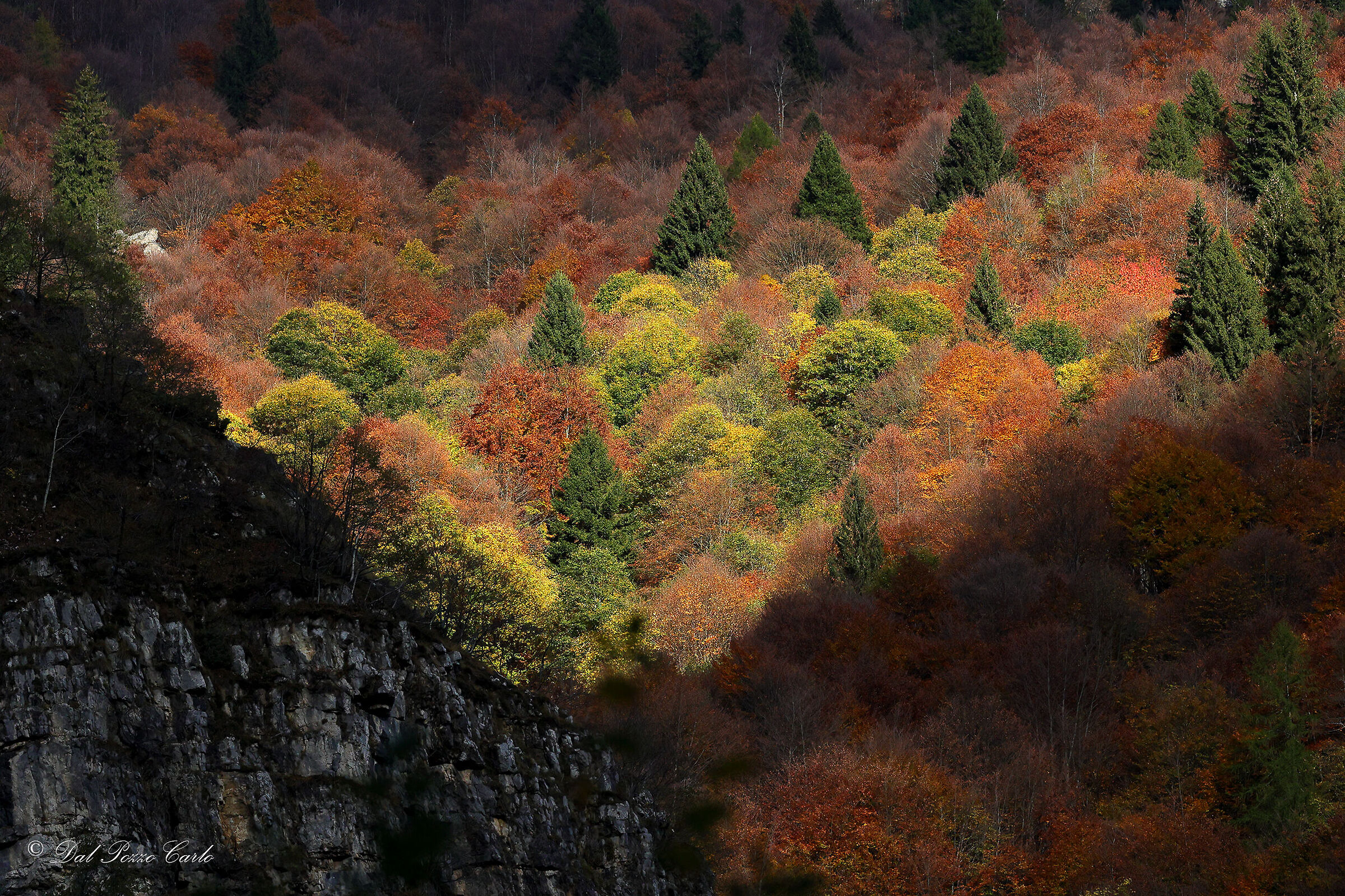 In the heart of autumn