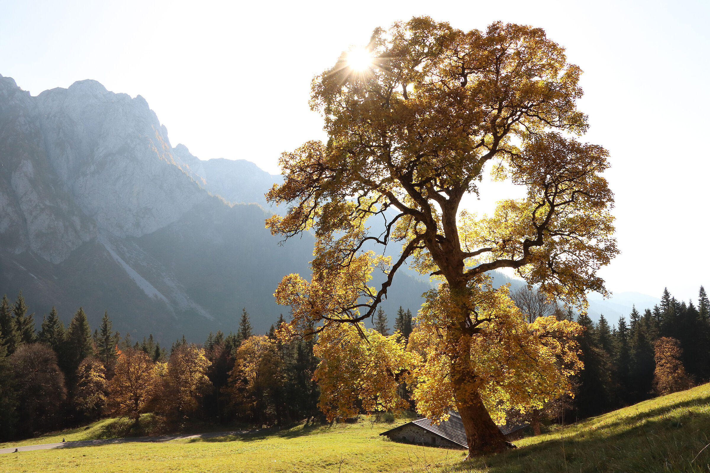 la baita degli aceri