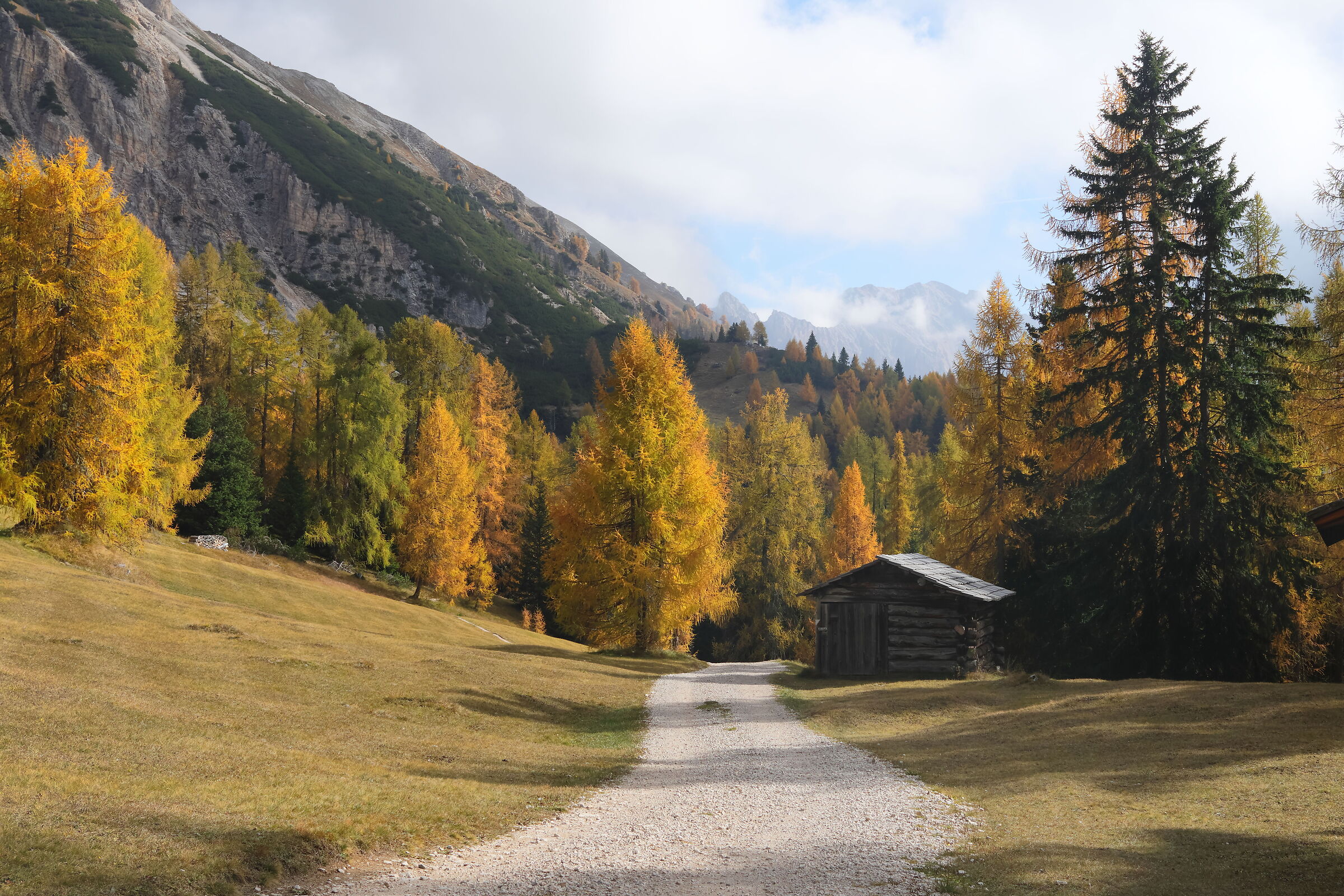 Autunno a La Val - Col Da Rit