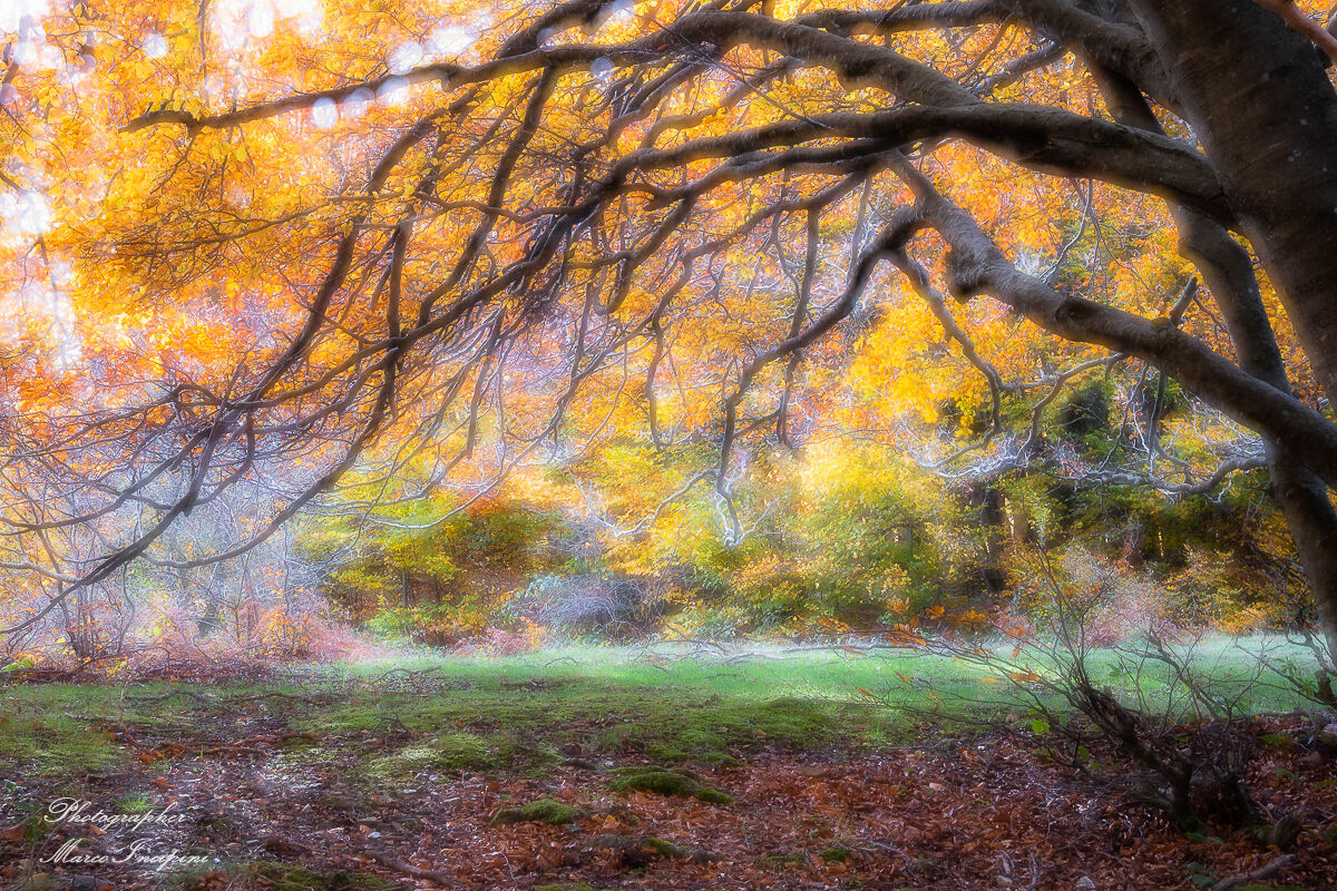 Autumn