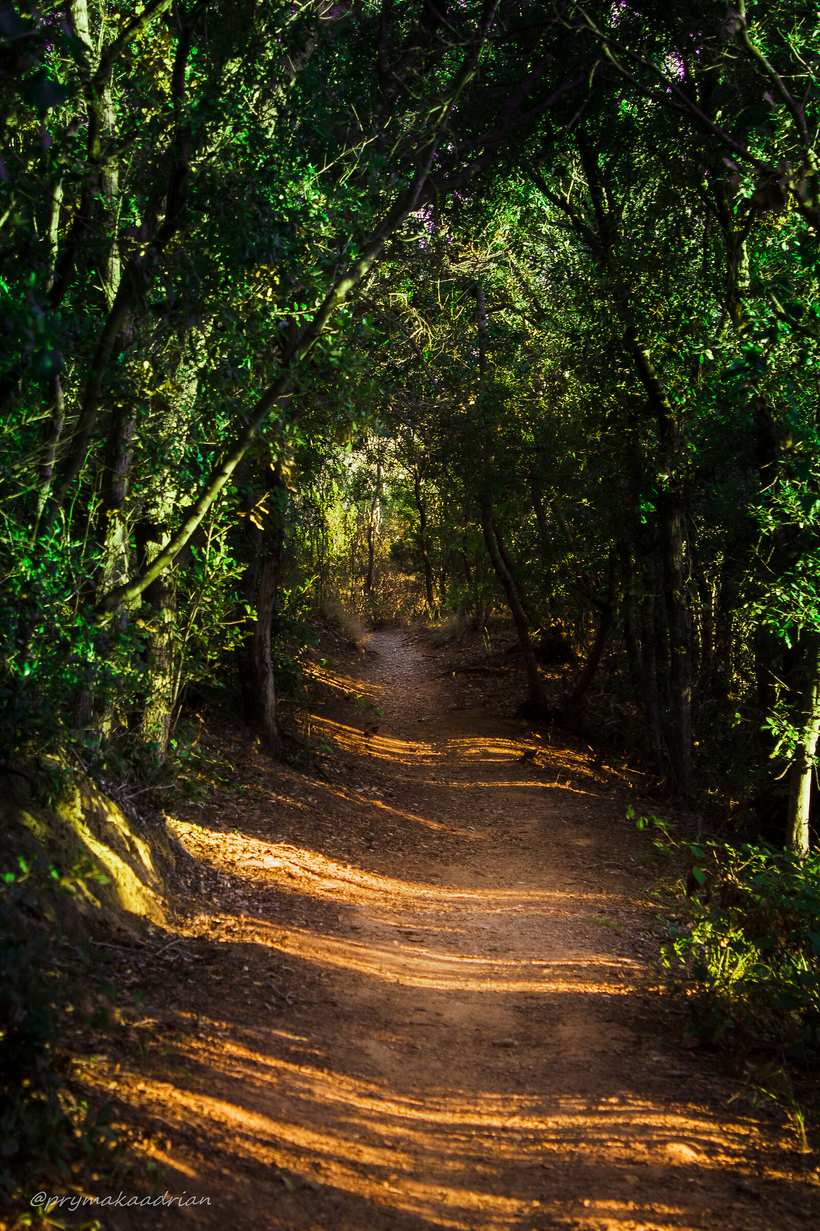 Sentiero sulla costa