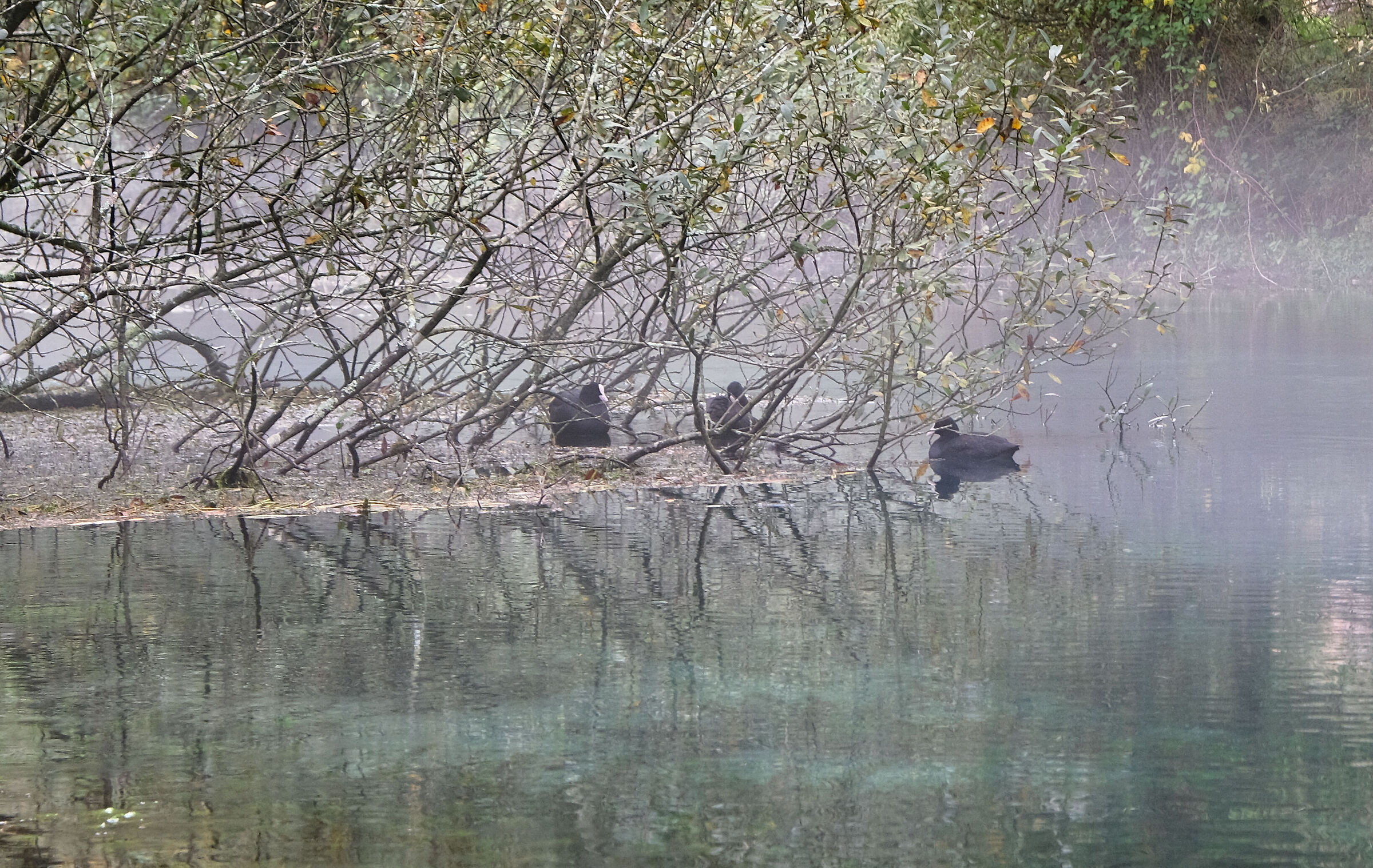 Siamo rimaste in tre