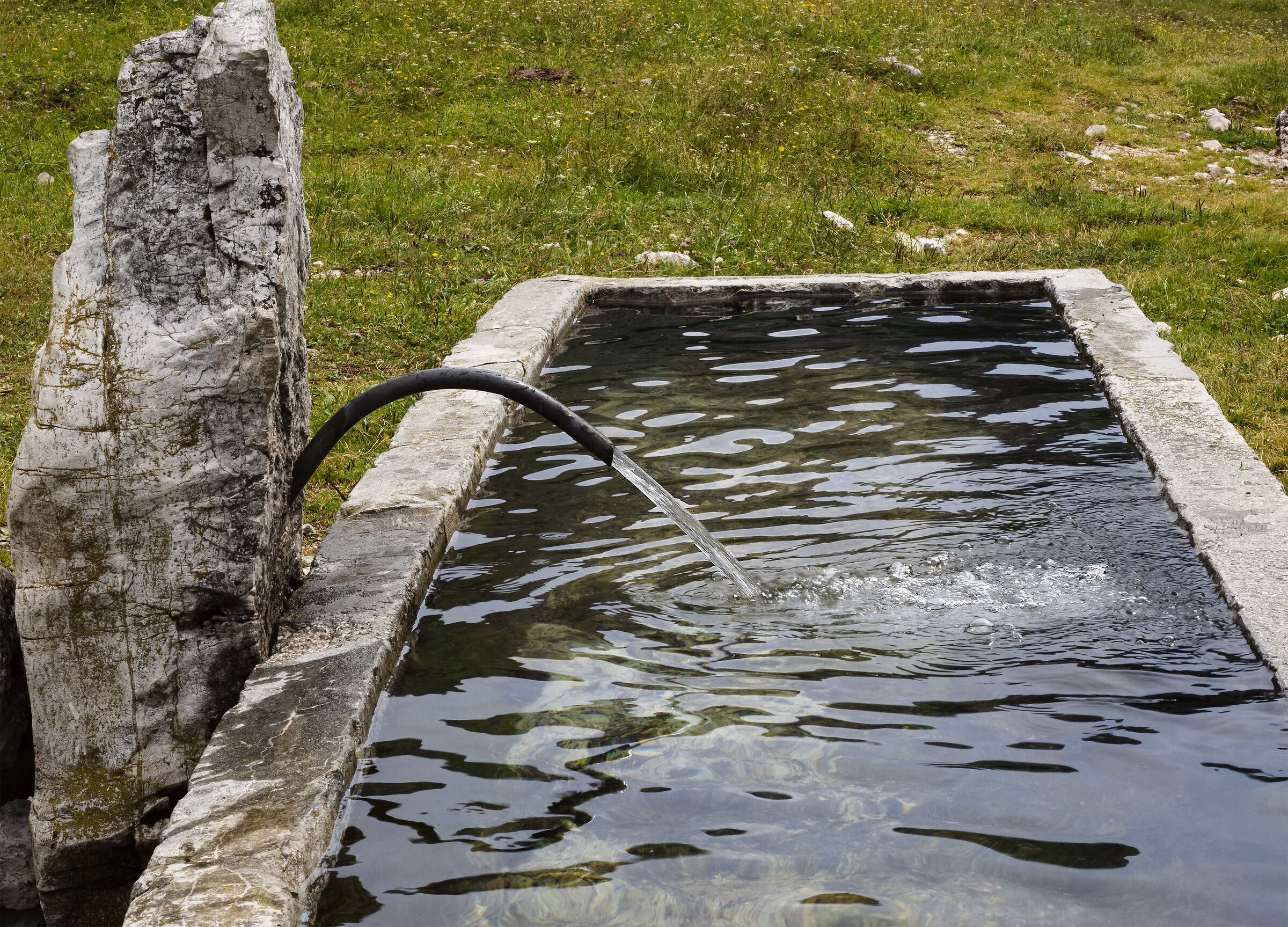 A simple watering hole