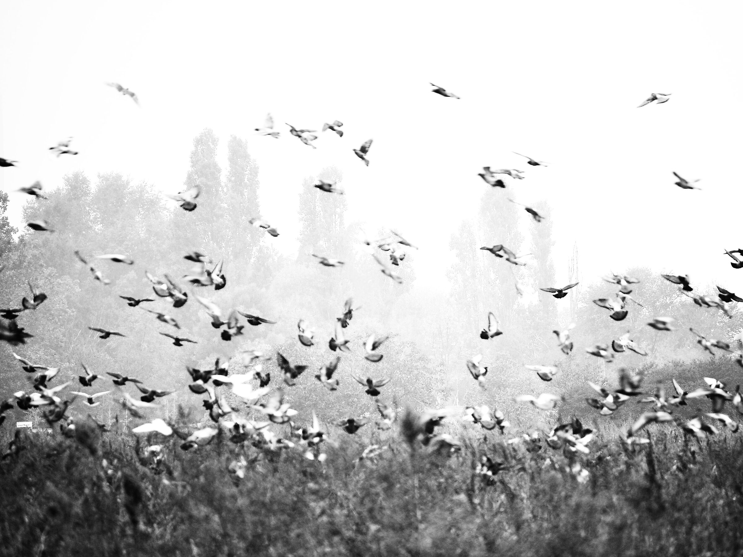 Untitled Photo