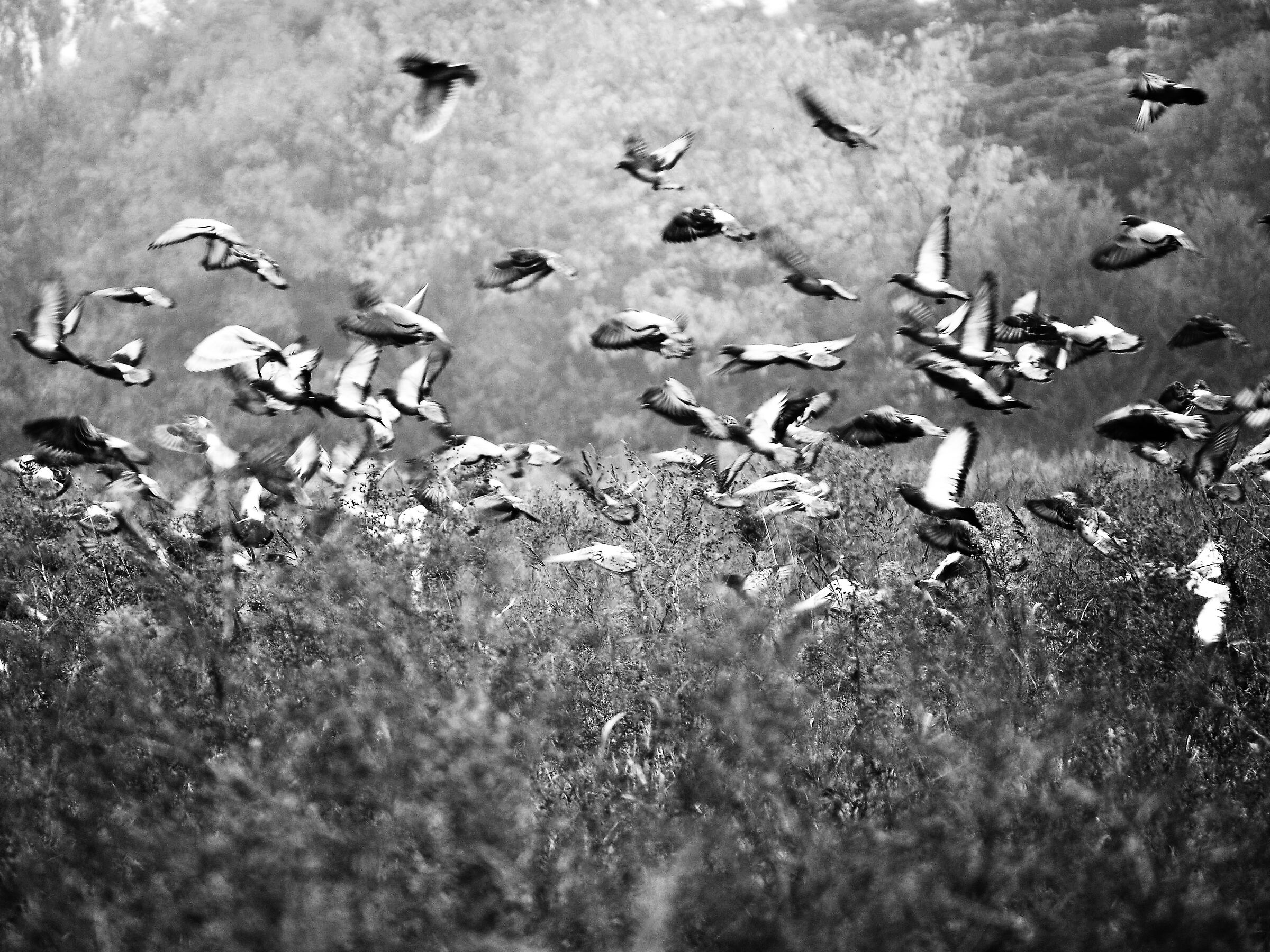 Untitled Photo