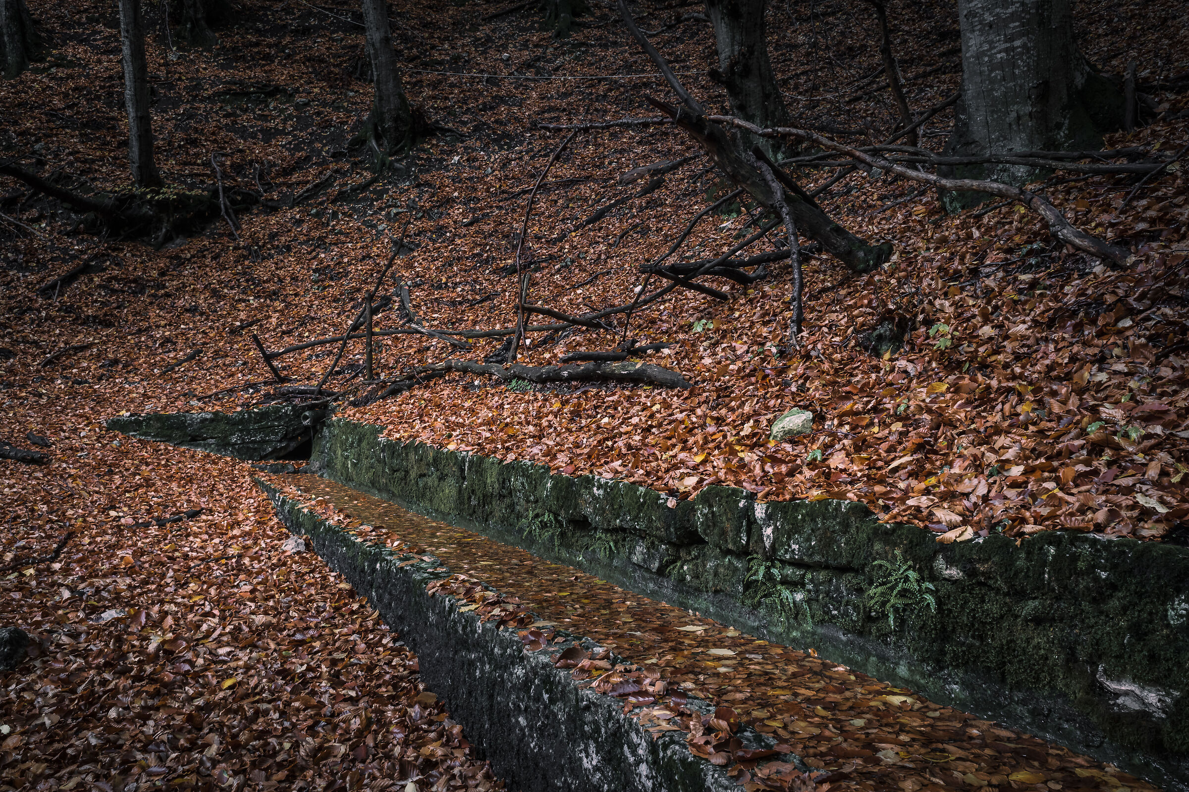 The witches' watering hole