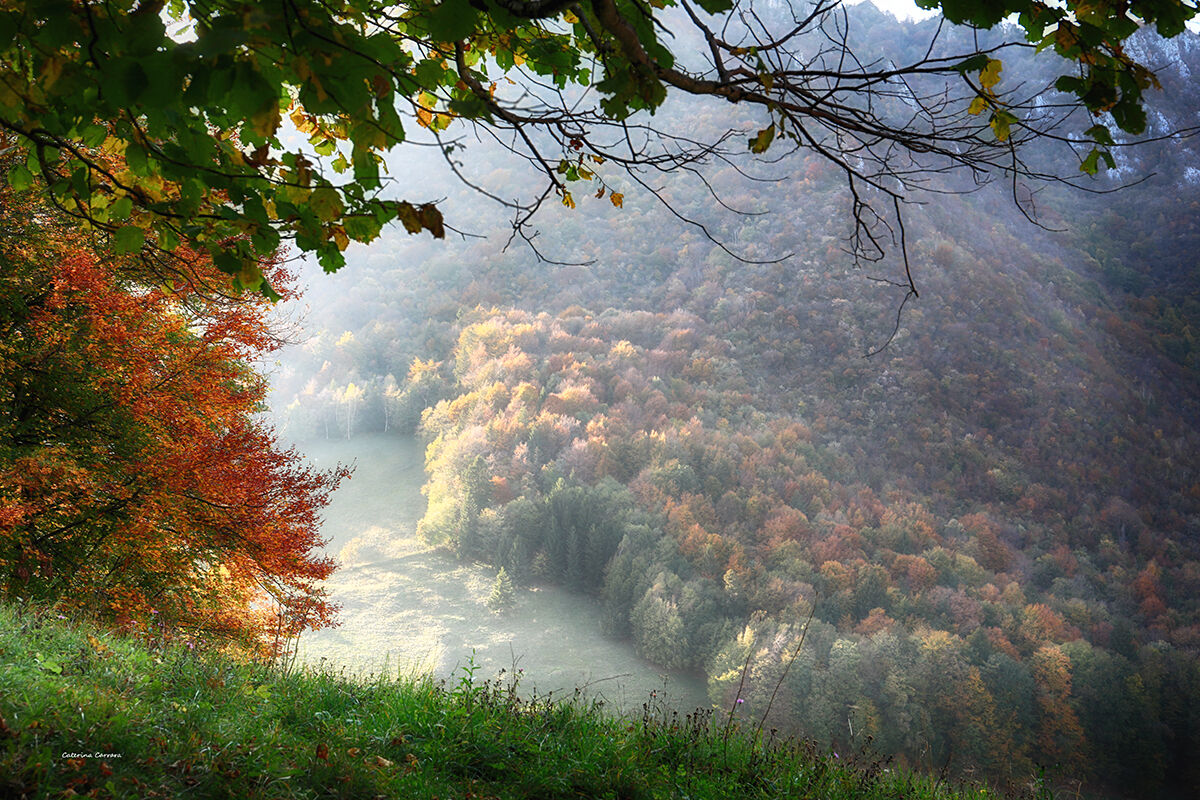 Autunno nei boschi di casa.