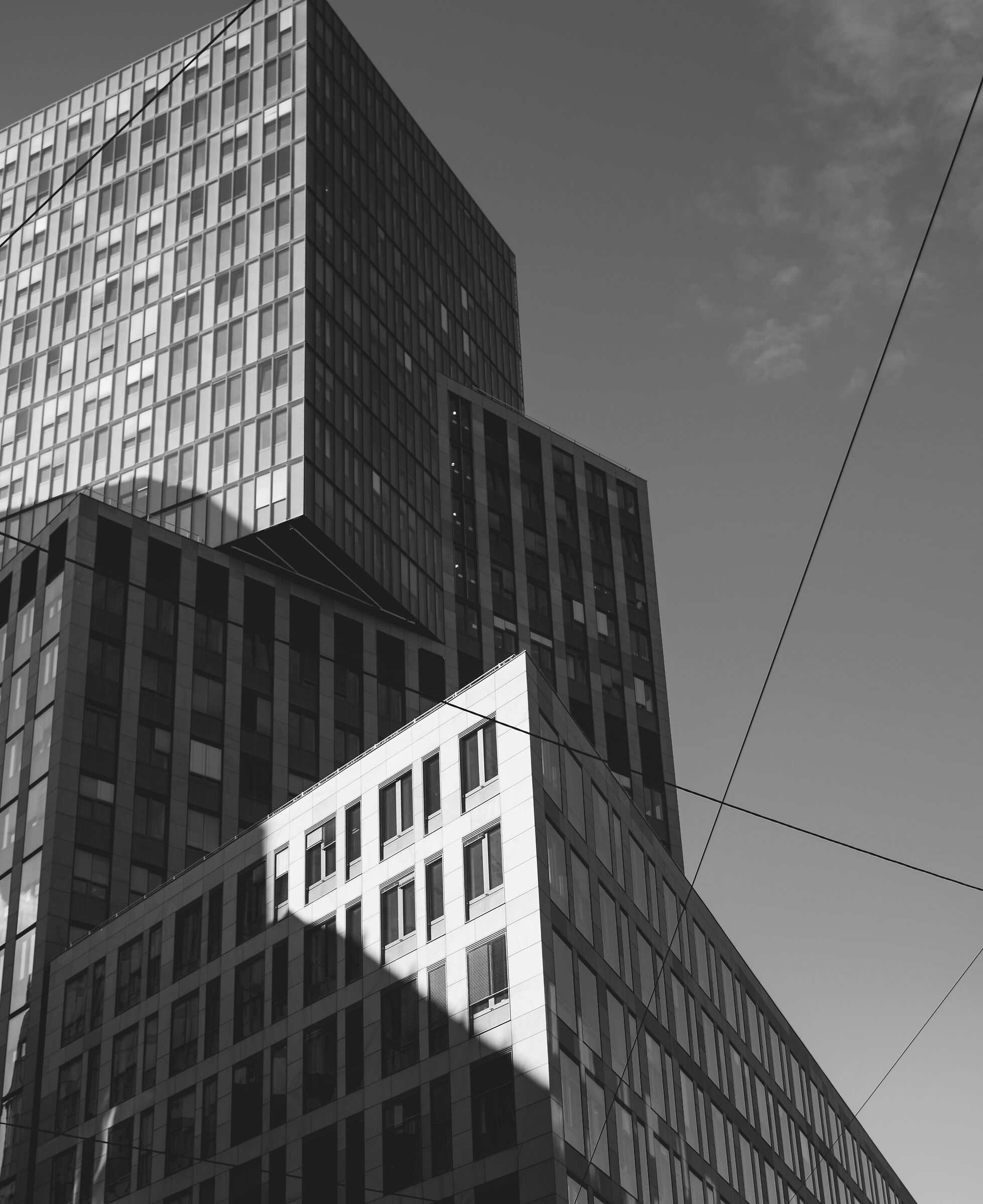 Untitled Photo