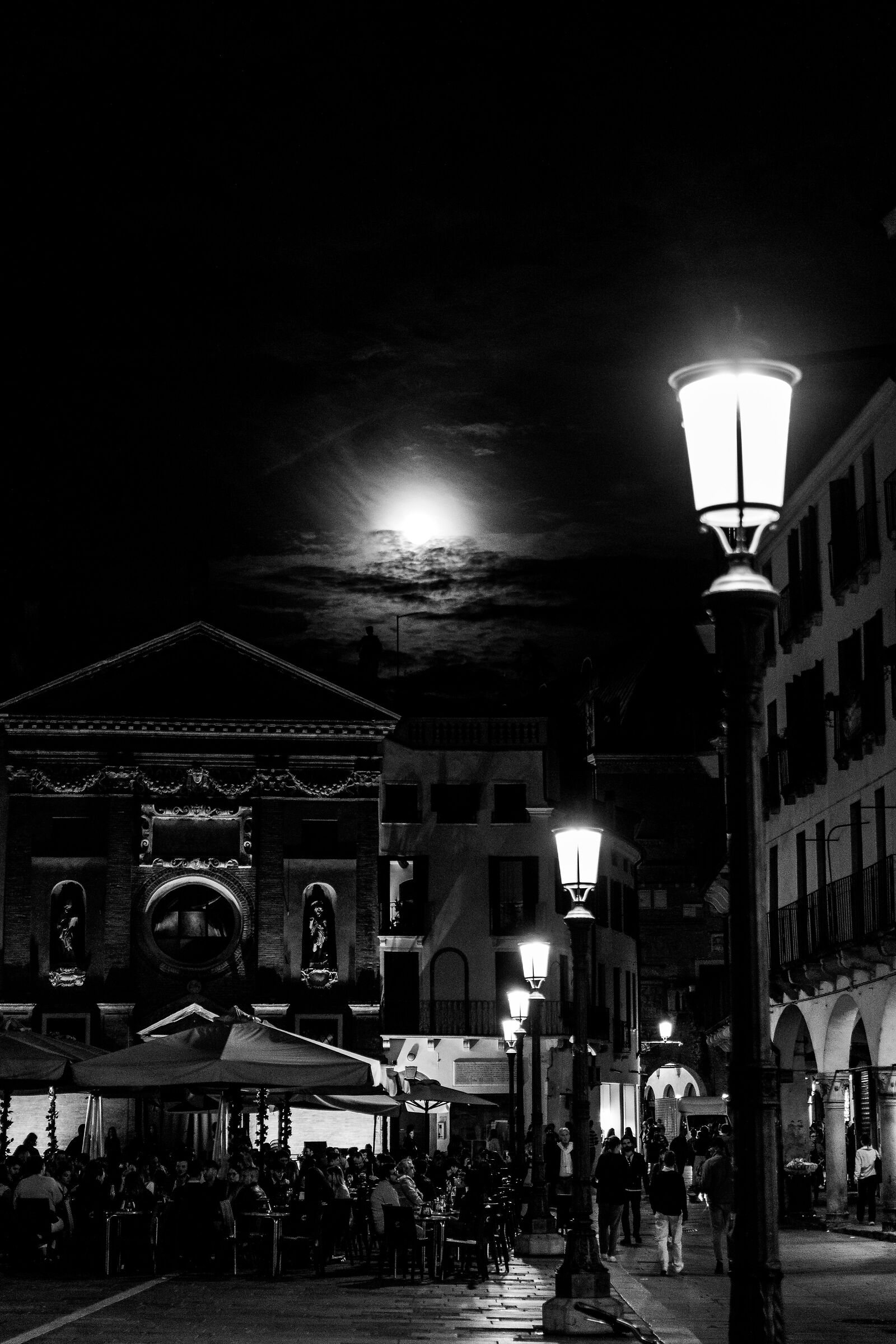 Untitled Photo