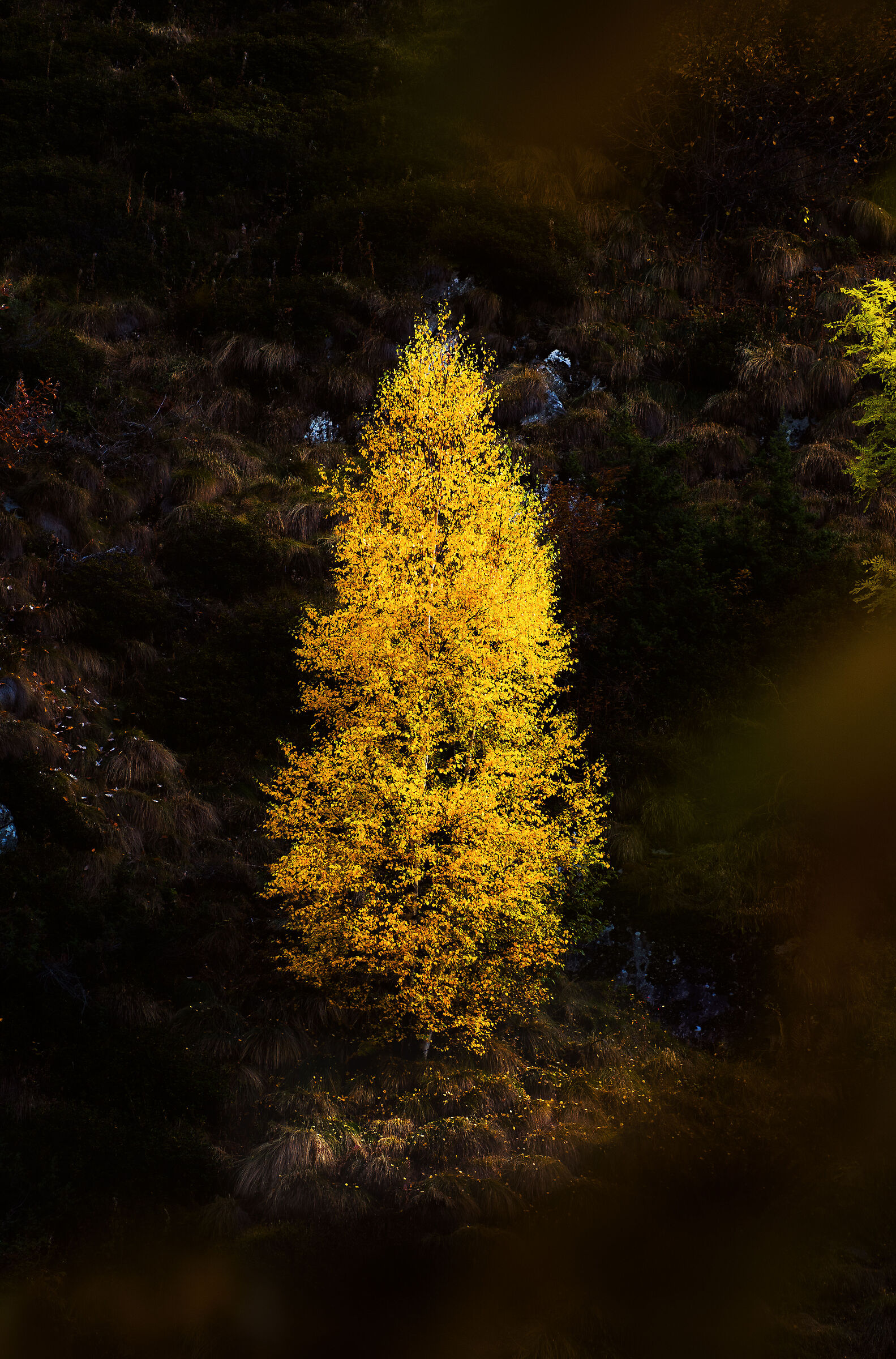 Yellow flame