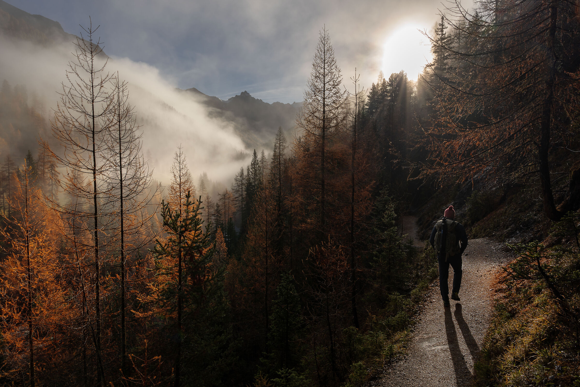 Autumn dawn