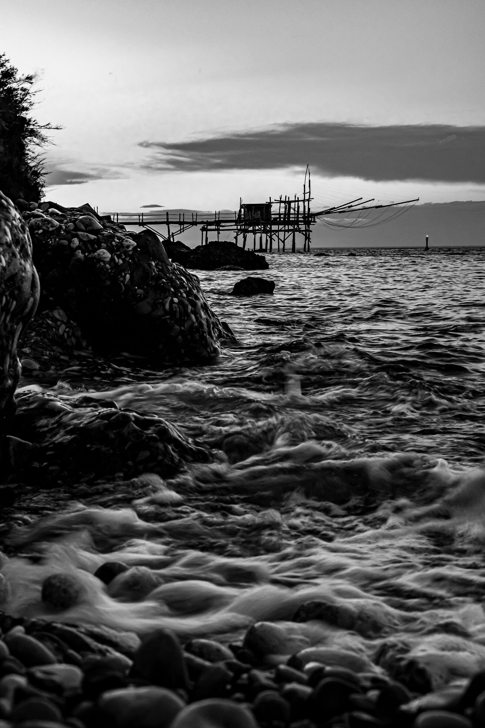 Untitled Photo