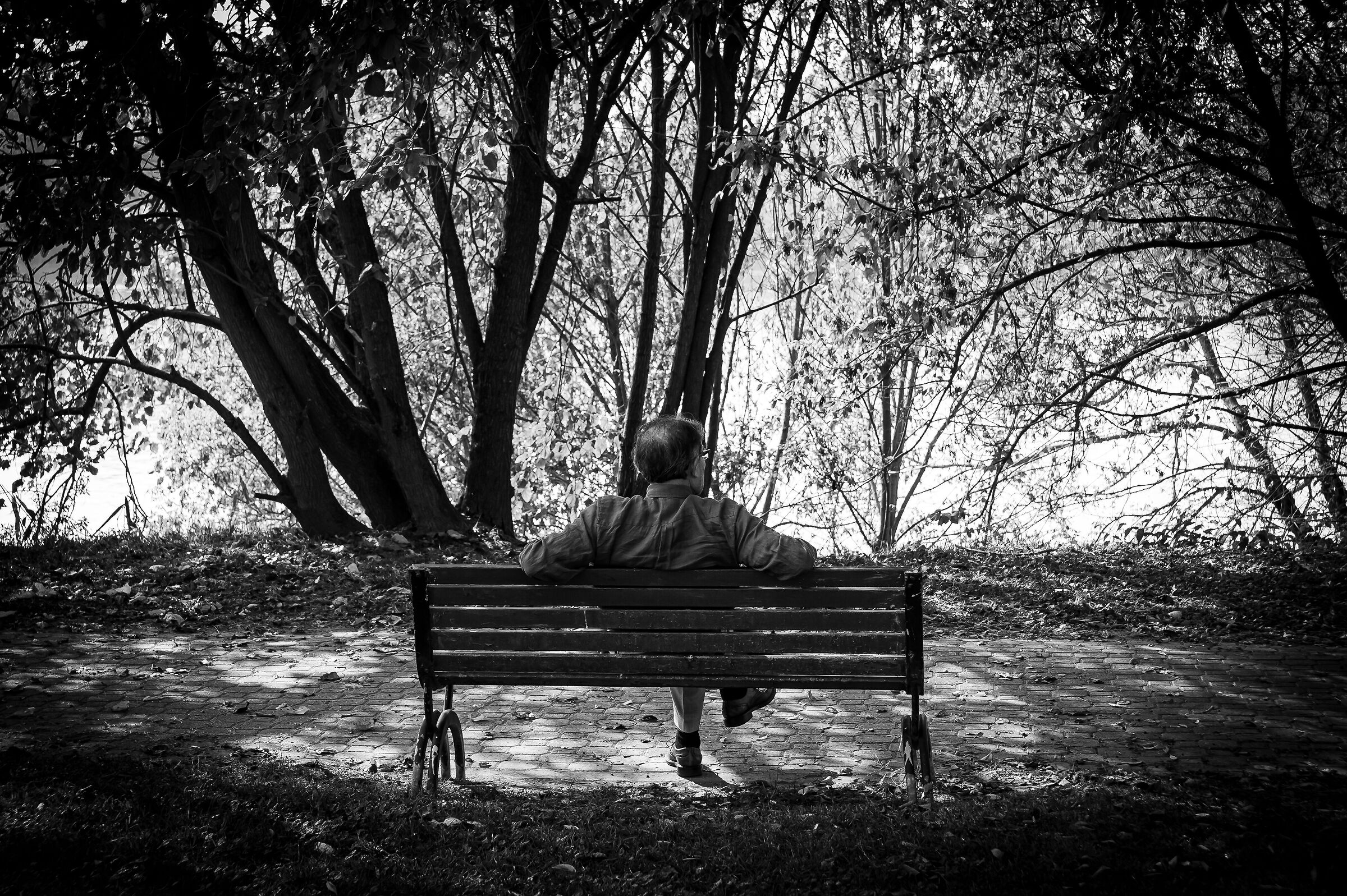 Solitudine o riflessione?