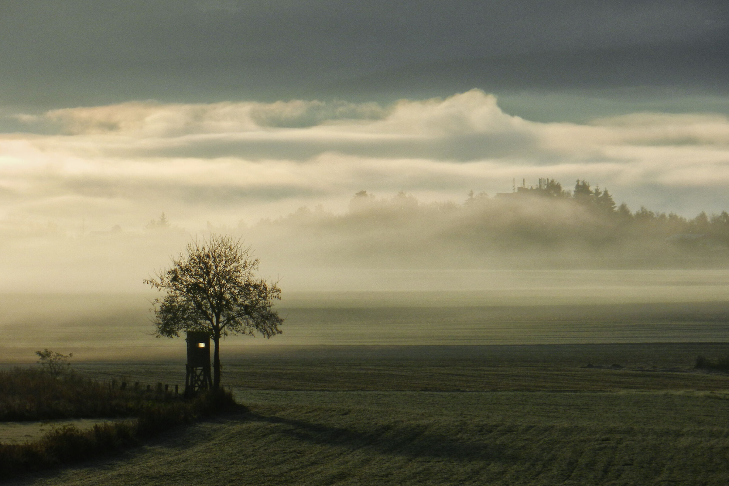 Nascondersi nella nebbia