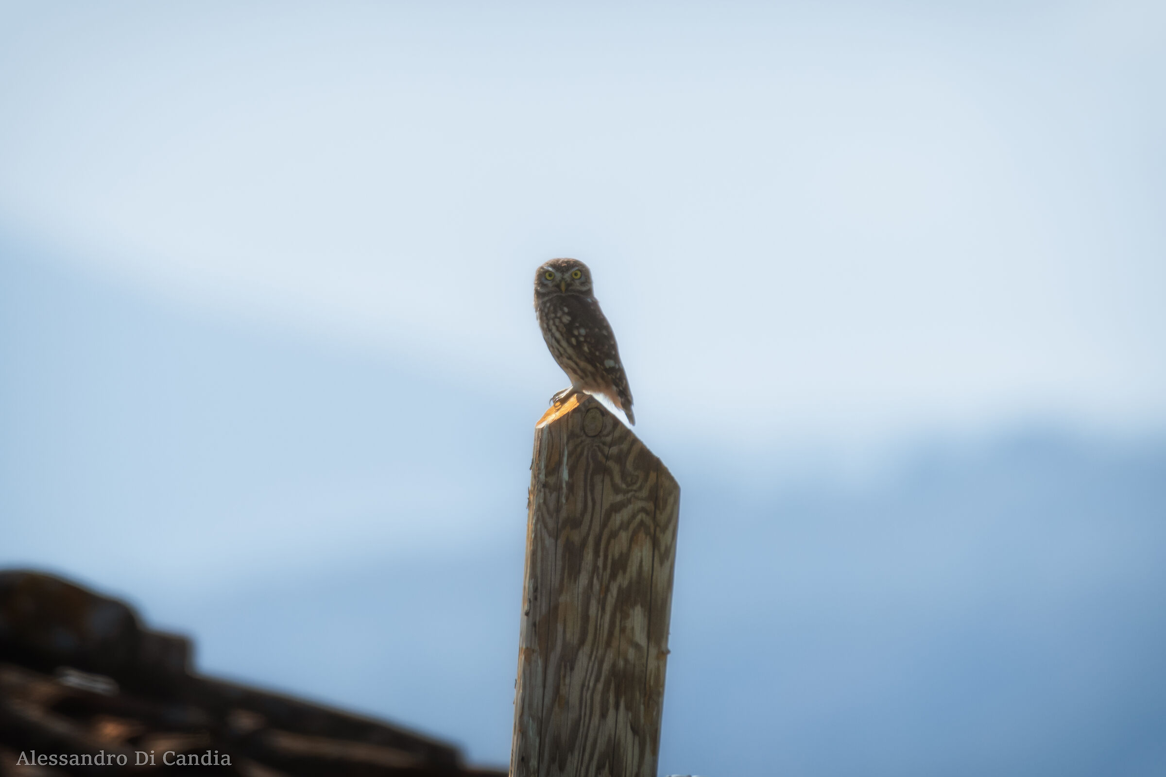 Al sole "estivo" di Ottobre 1