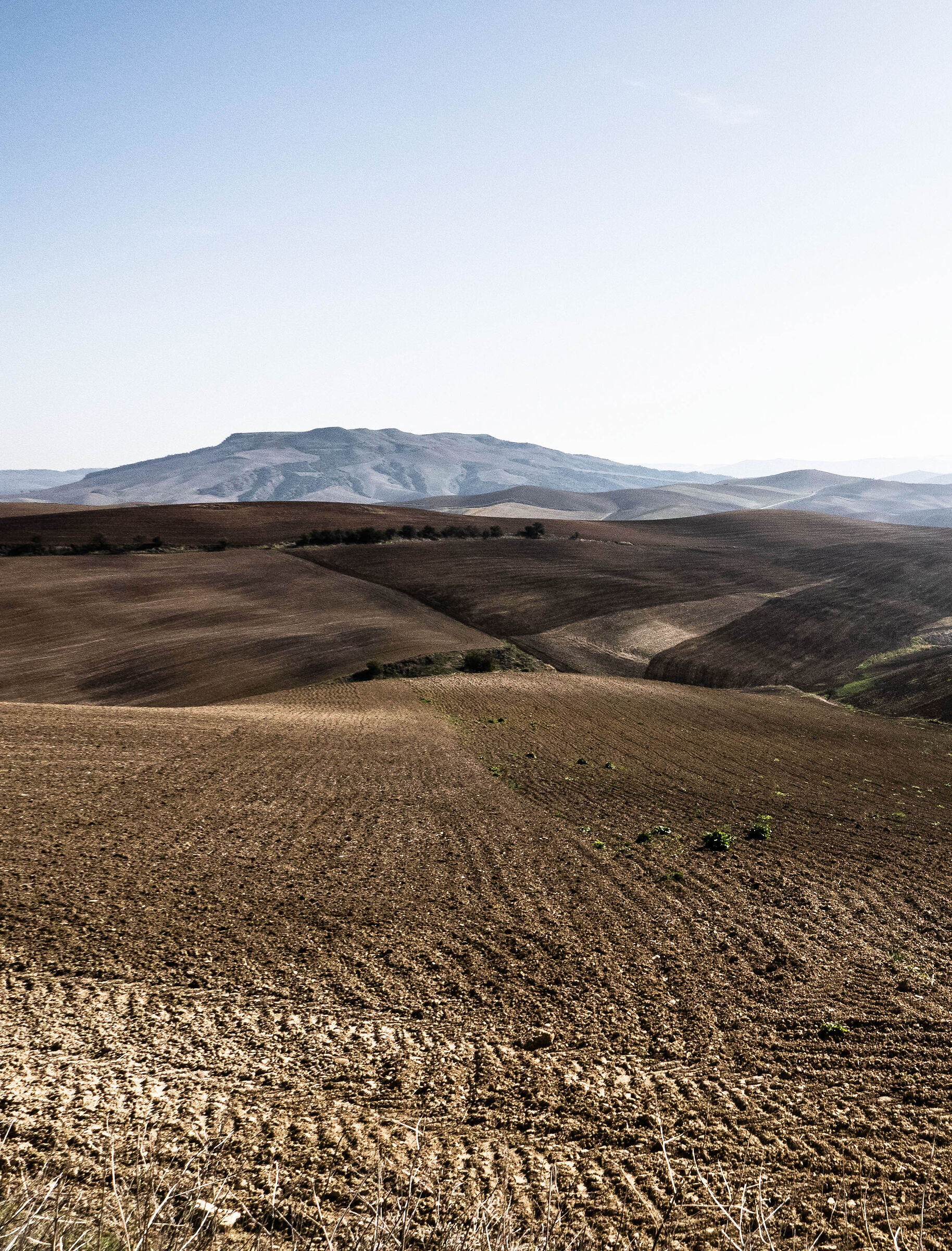 I colori della terra. Lucania