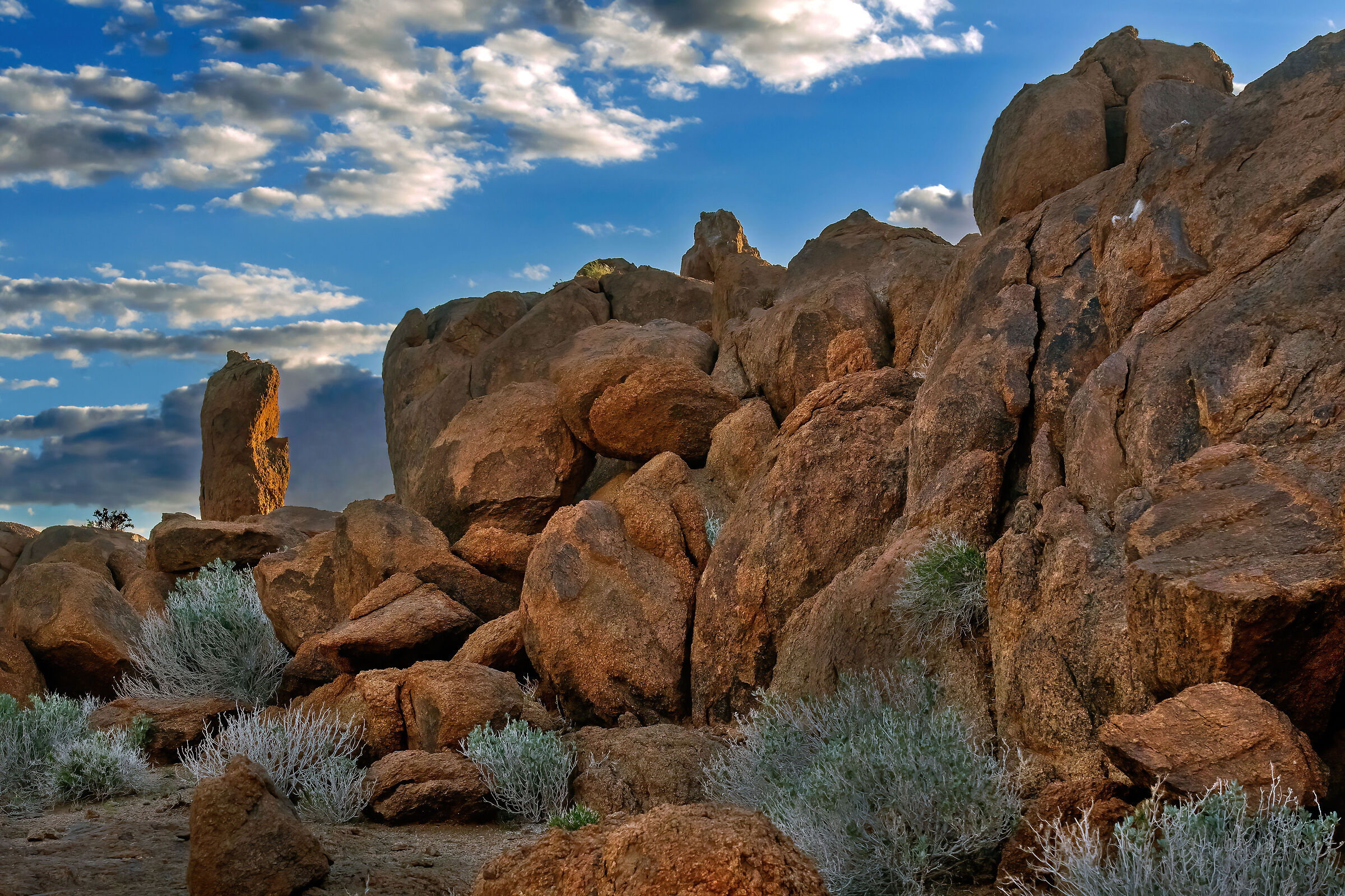 Landscape