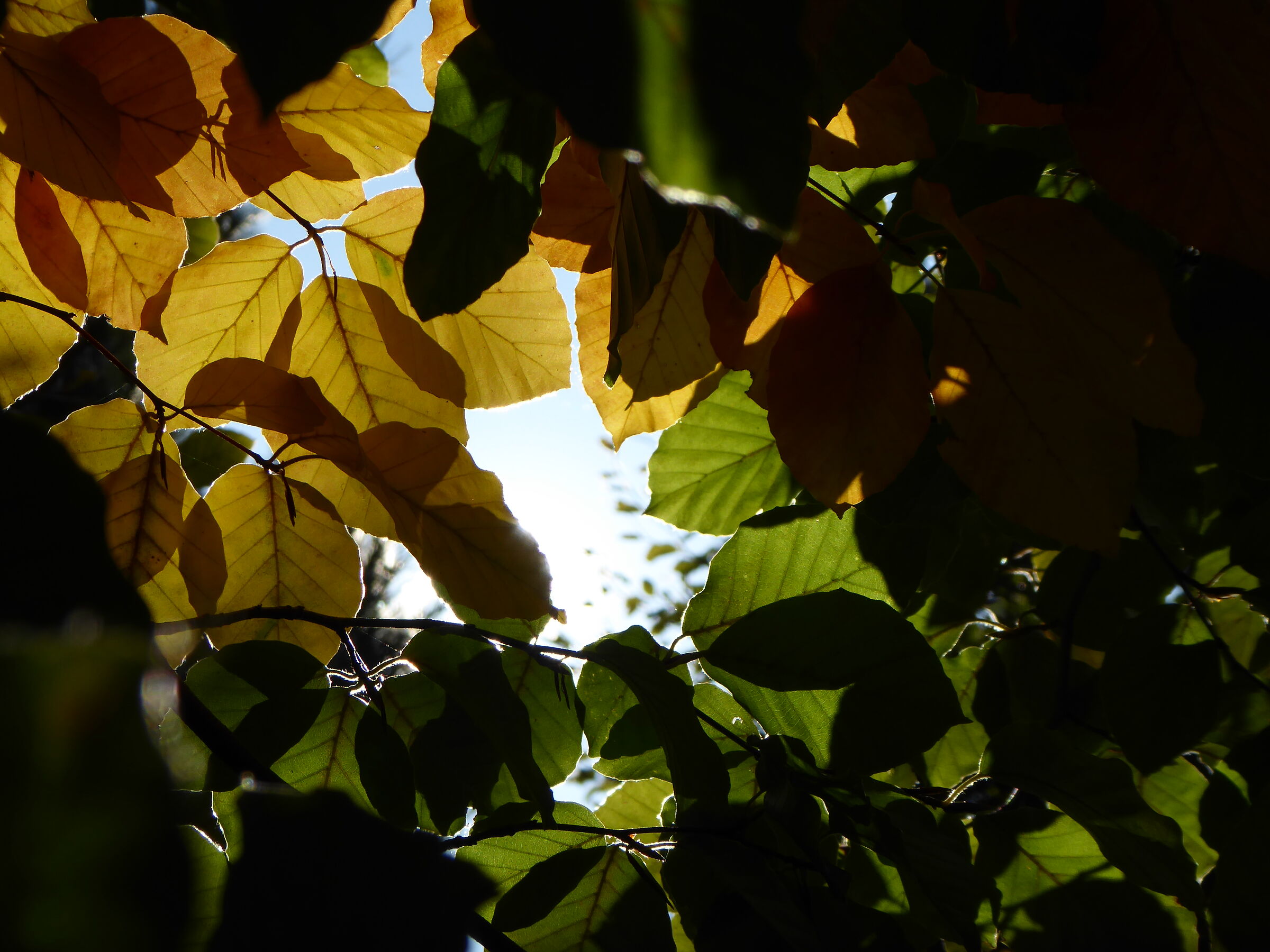Between summer and autumn