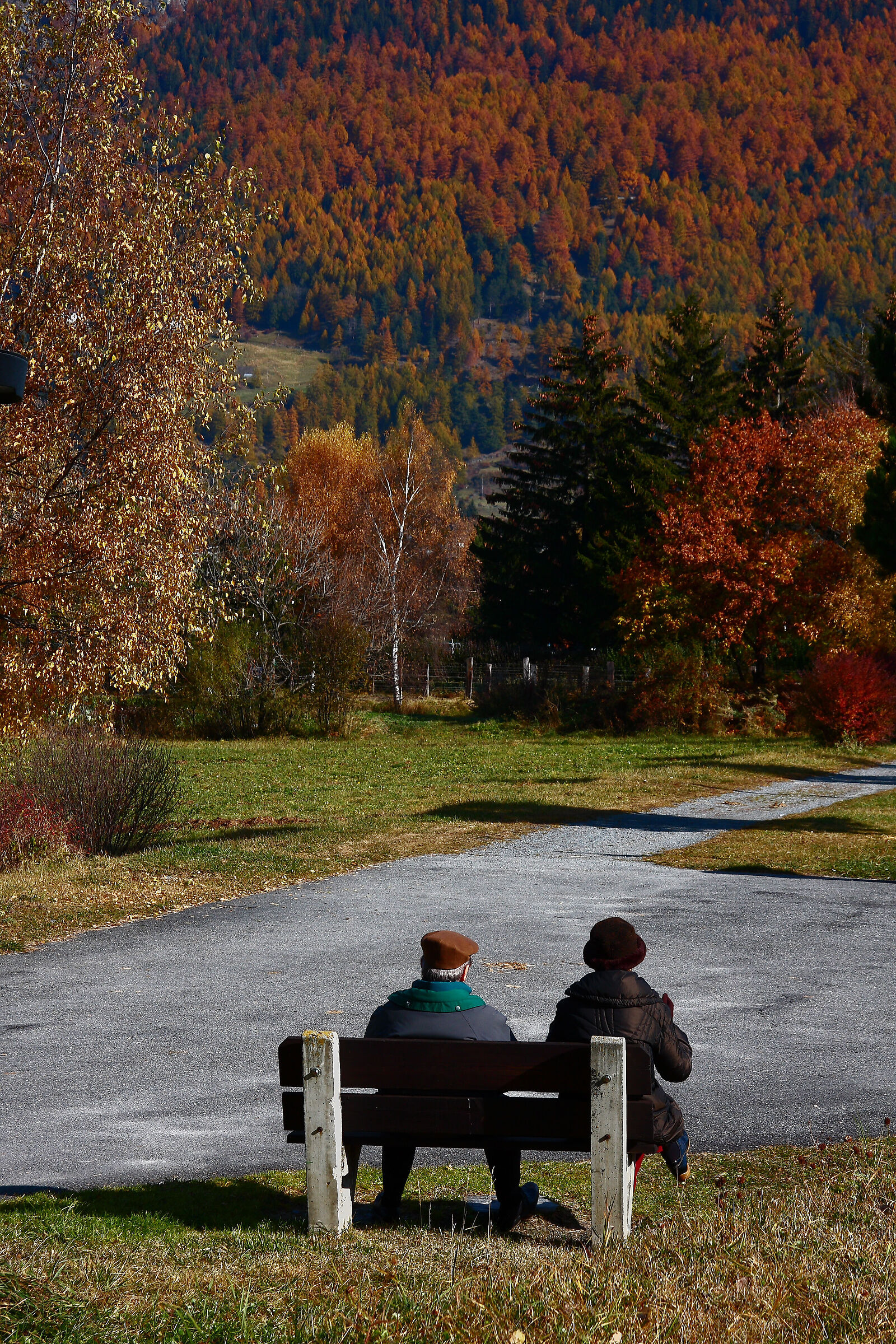 arriva per tutti ml'autunno