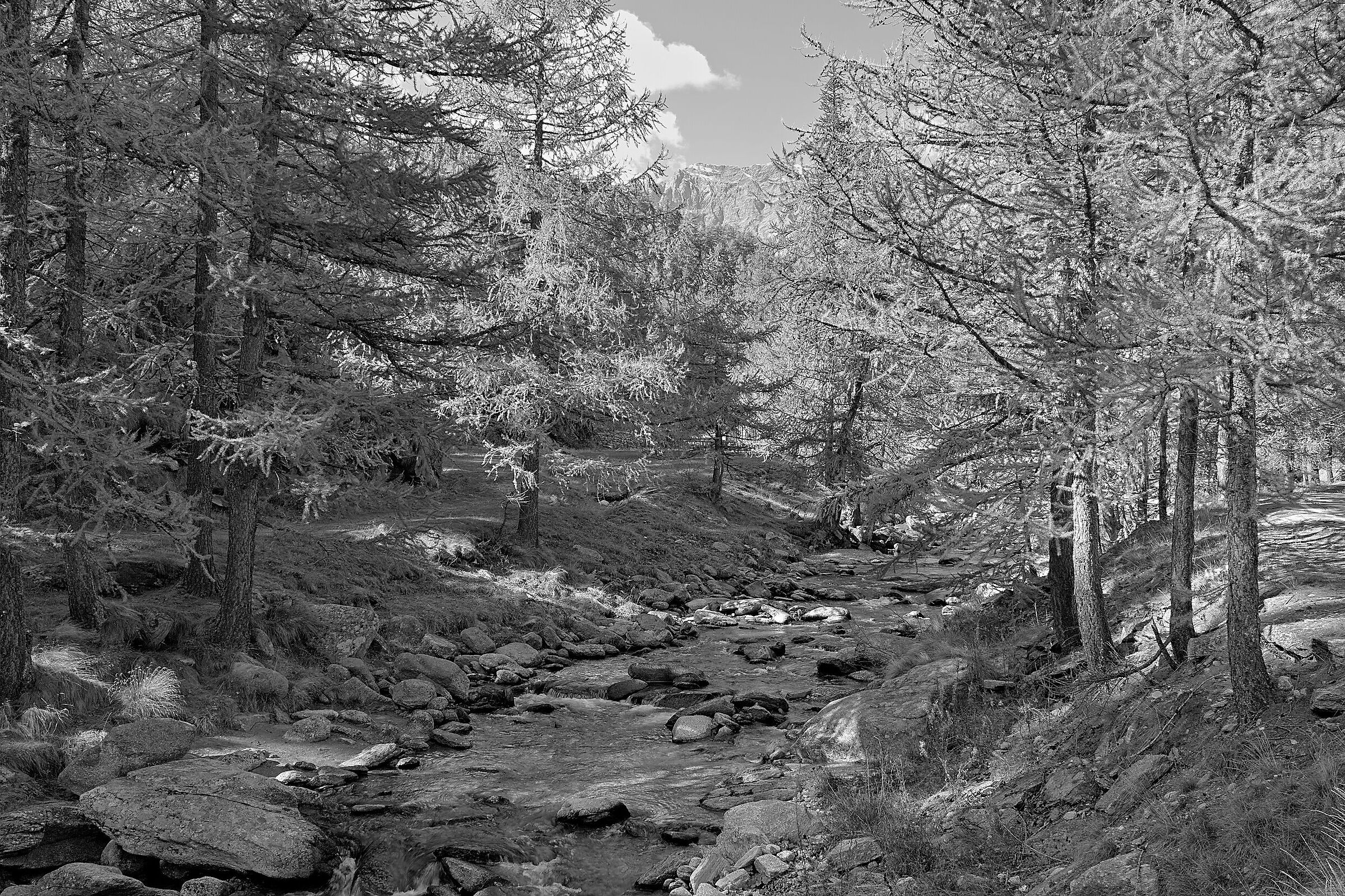 Valle Dell'Orco Parco Gran Paradiso