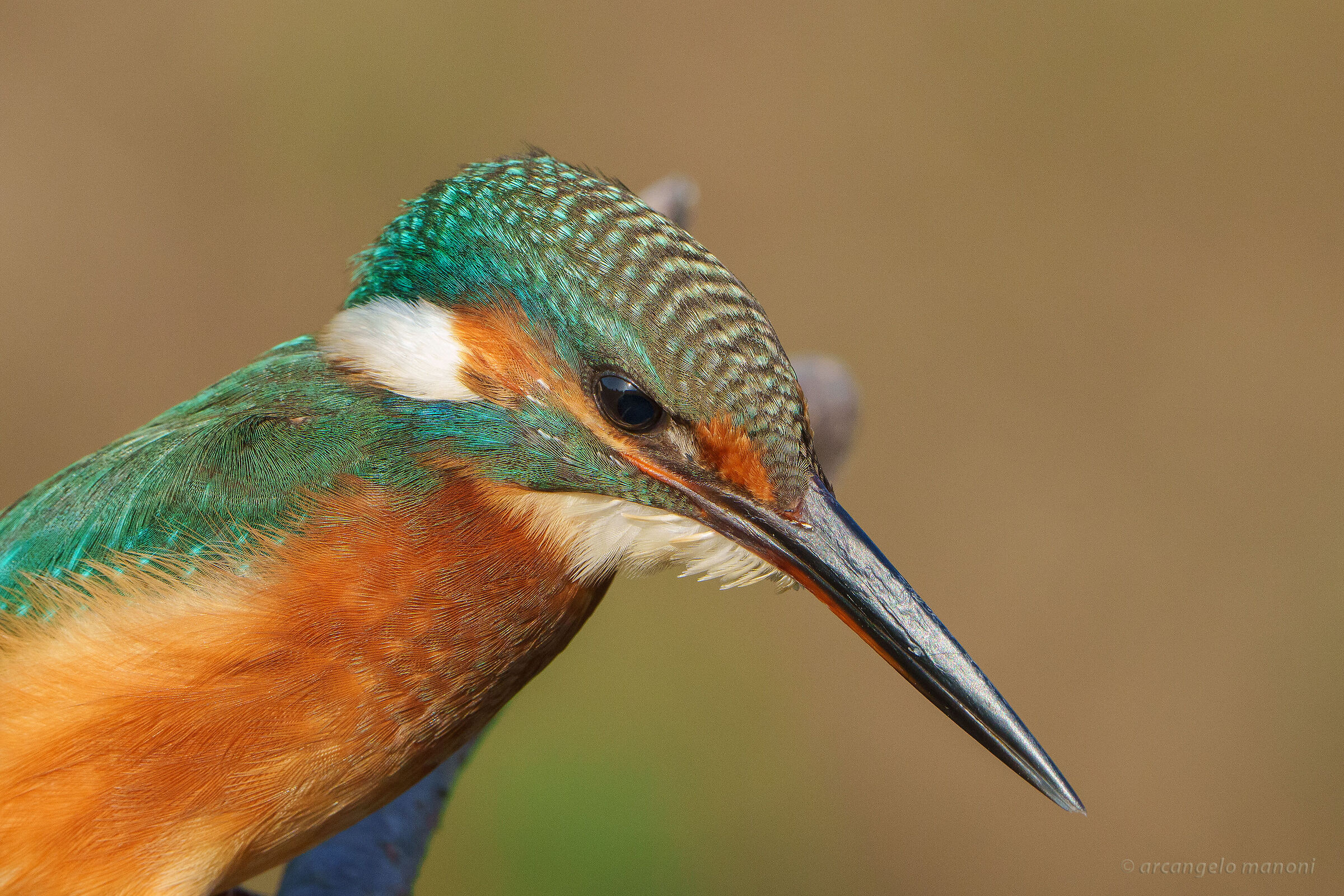 First floor at Martino