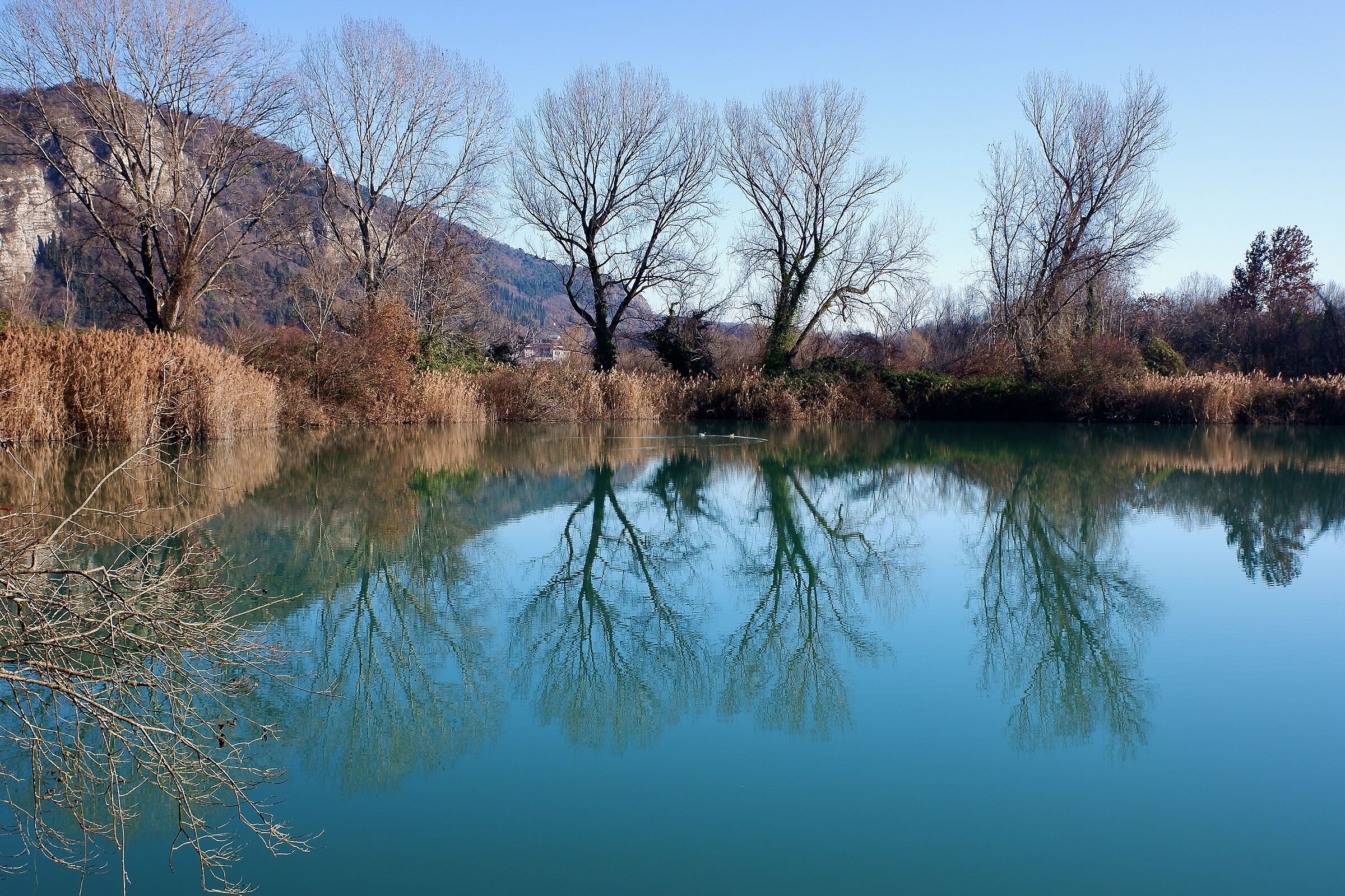 Wallowing in reflections
