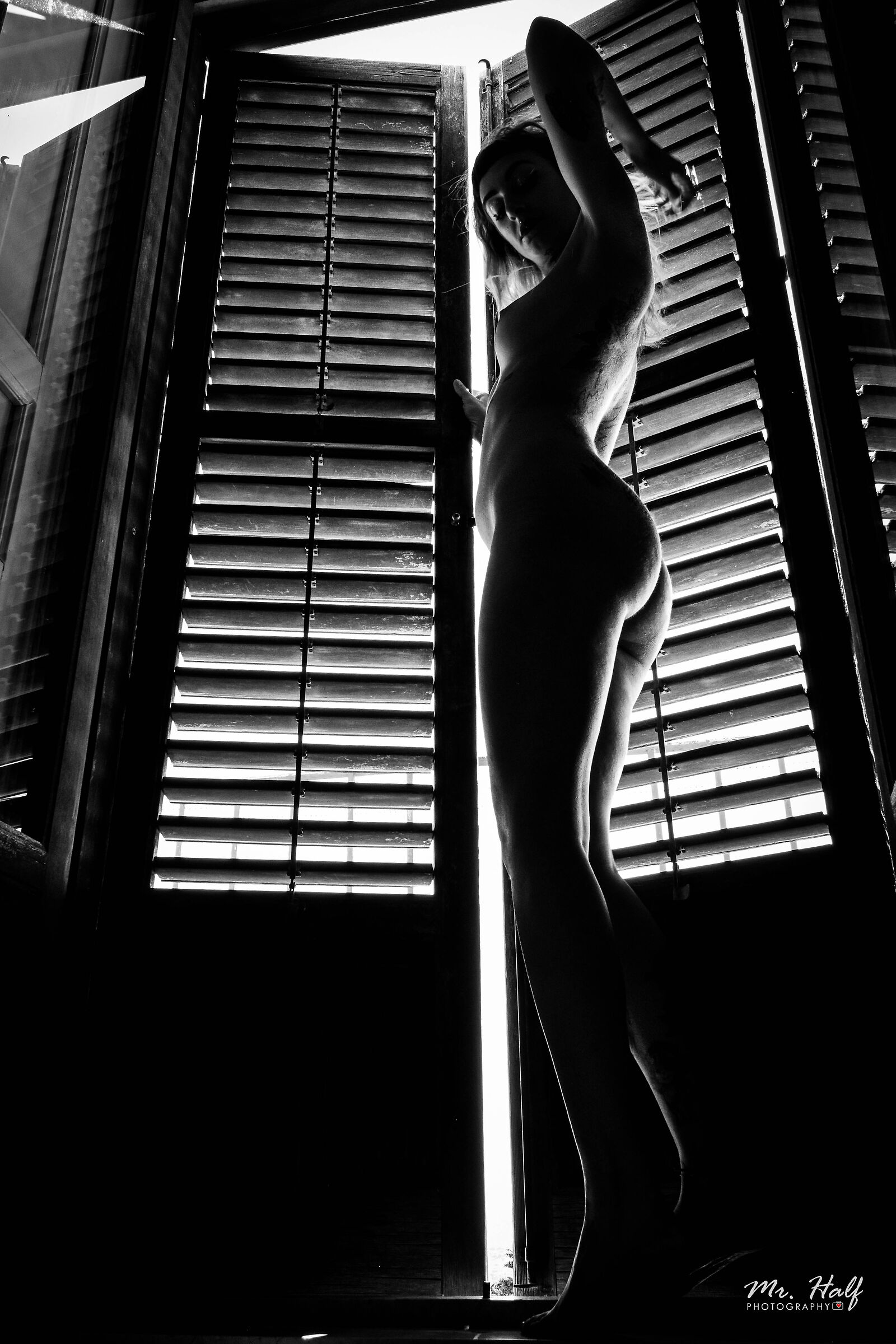windows silhouette