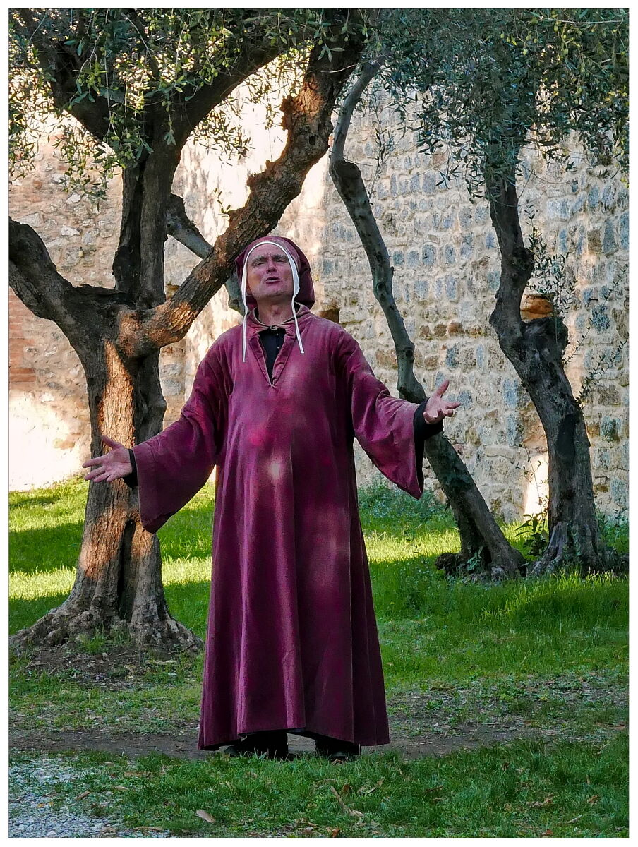 "Ho incontrato il Sommo Poeta Dante Alighieri"